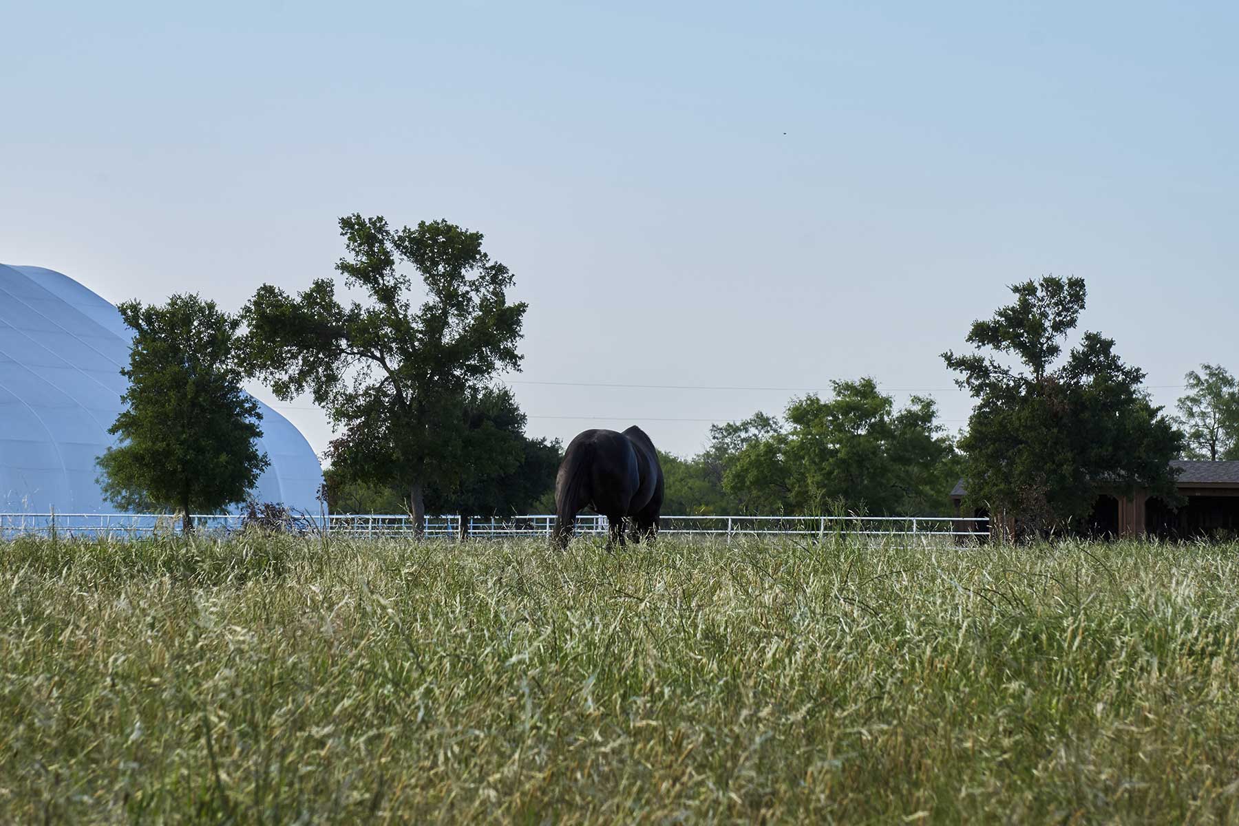 Lucky Star Ranch property picture 148 of 157