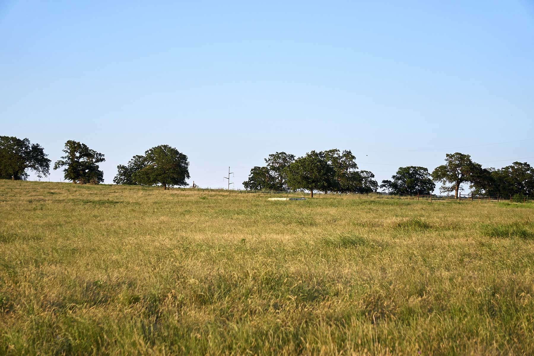 Lucky Star Ranch property picture 147 of 157