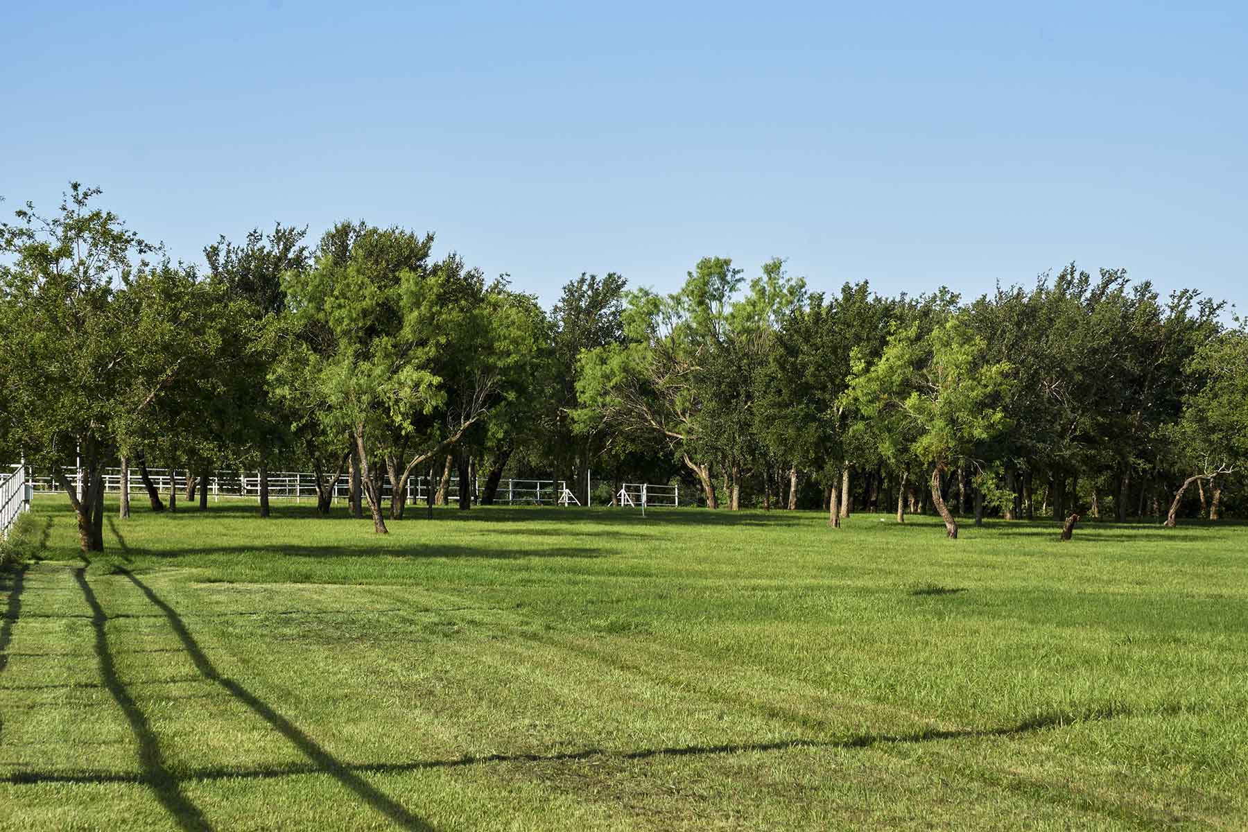 Lucky Star Ranch property picture 144 of 157