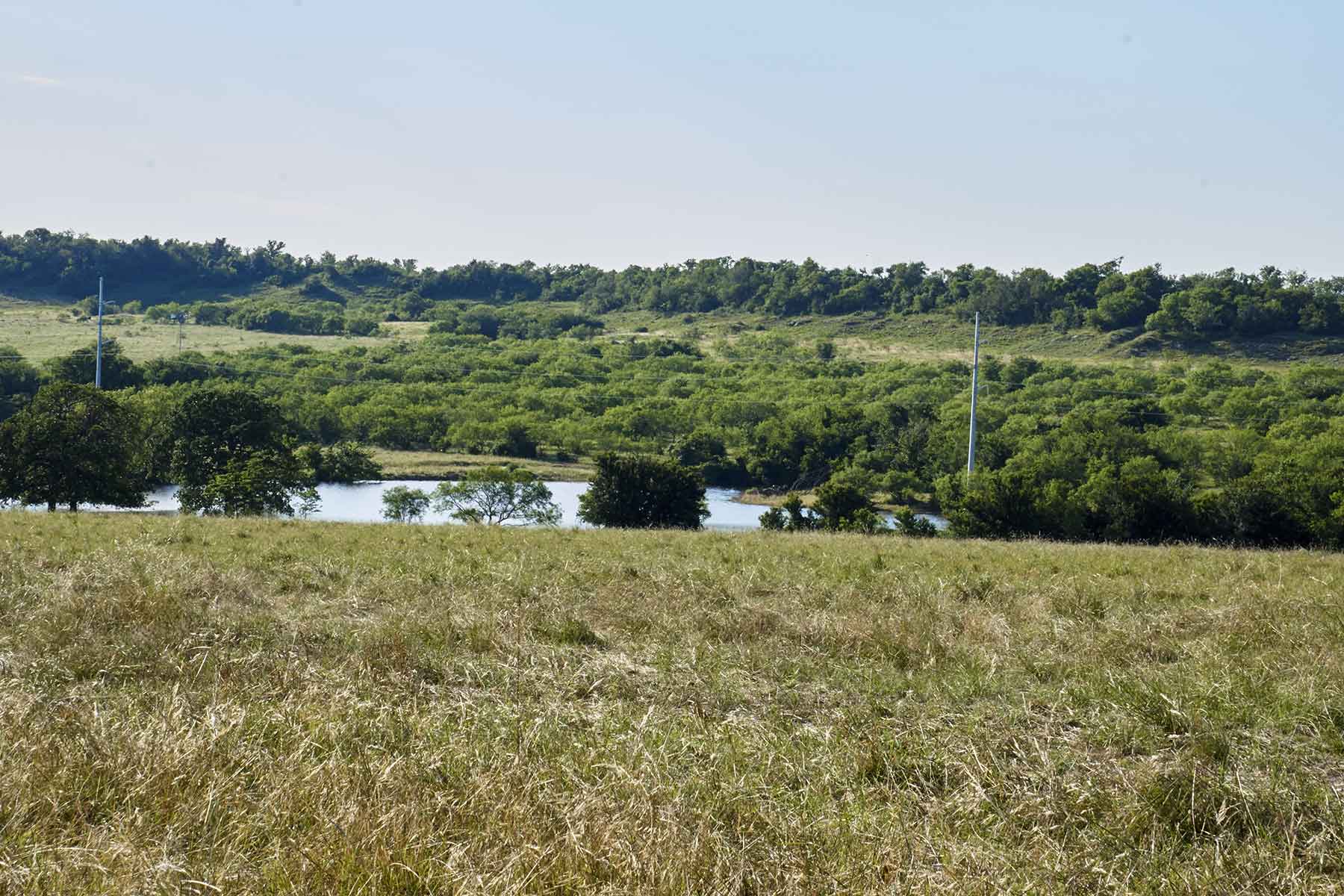 Lucky Star Ranch property picture 142 of 157