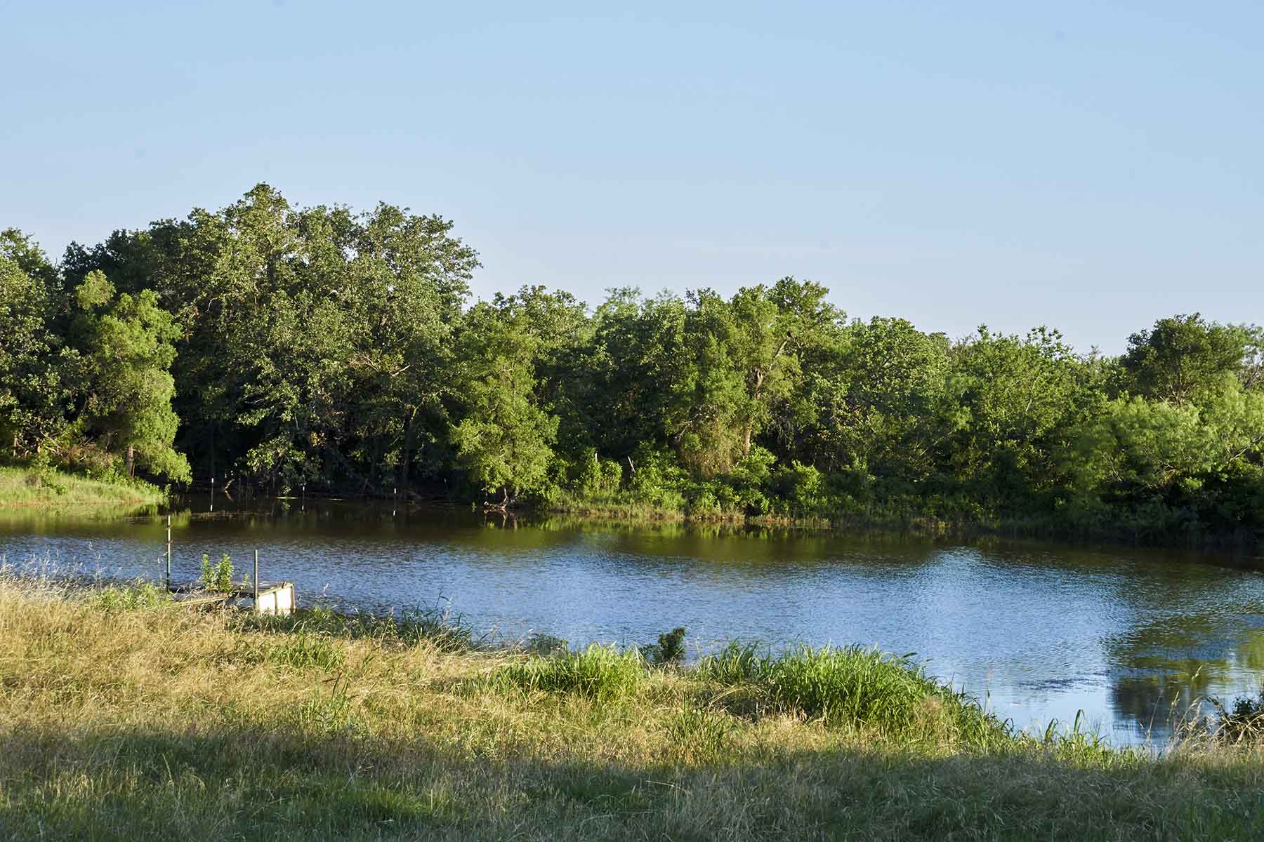 Lucky Star Ranch property picture 137 of 157
