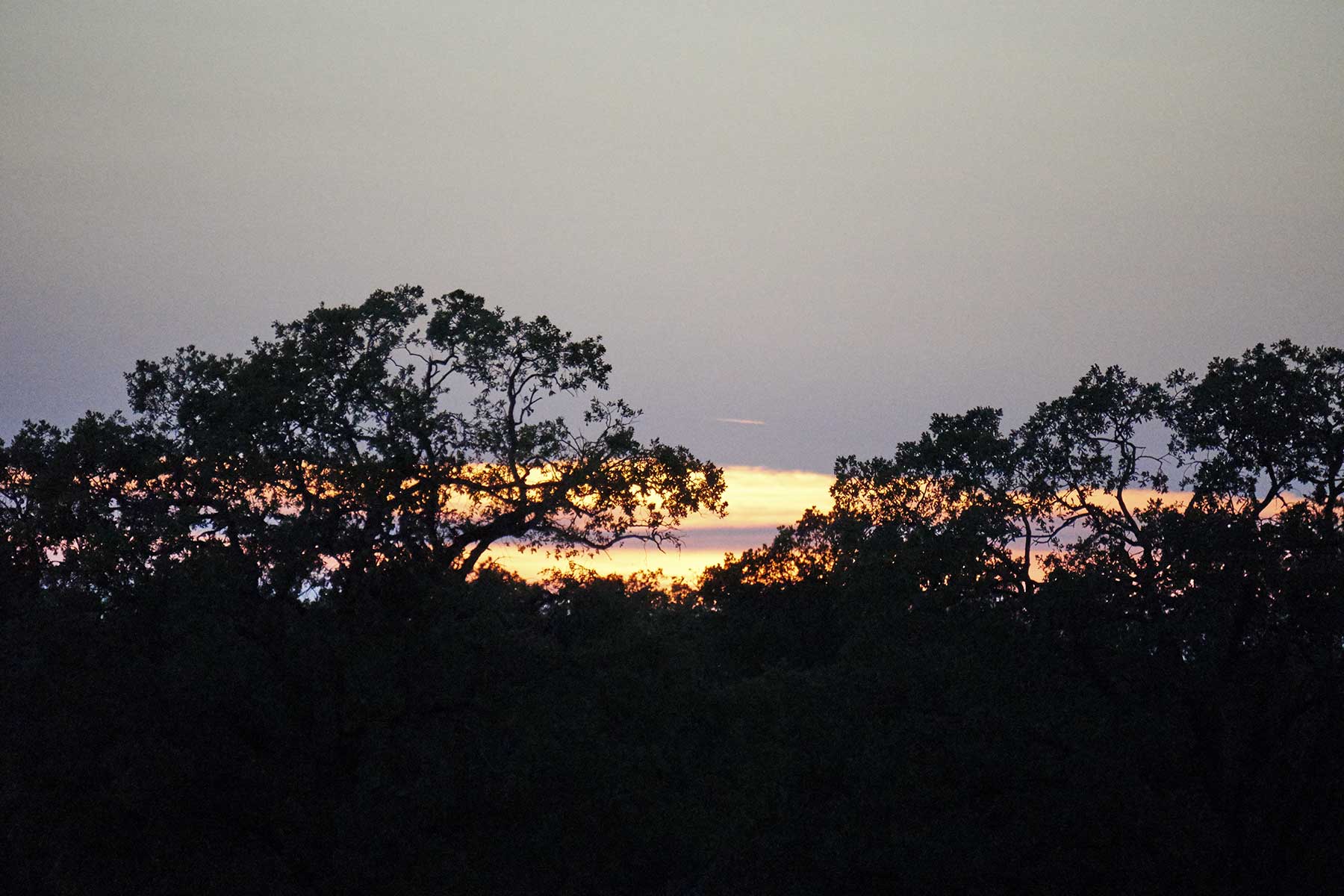 Lucky Star Ranch property picture 135 of 157