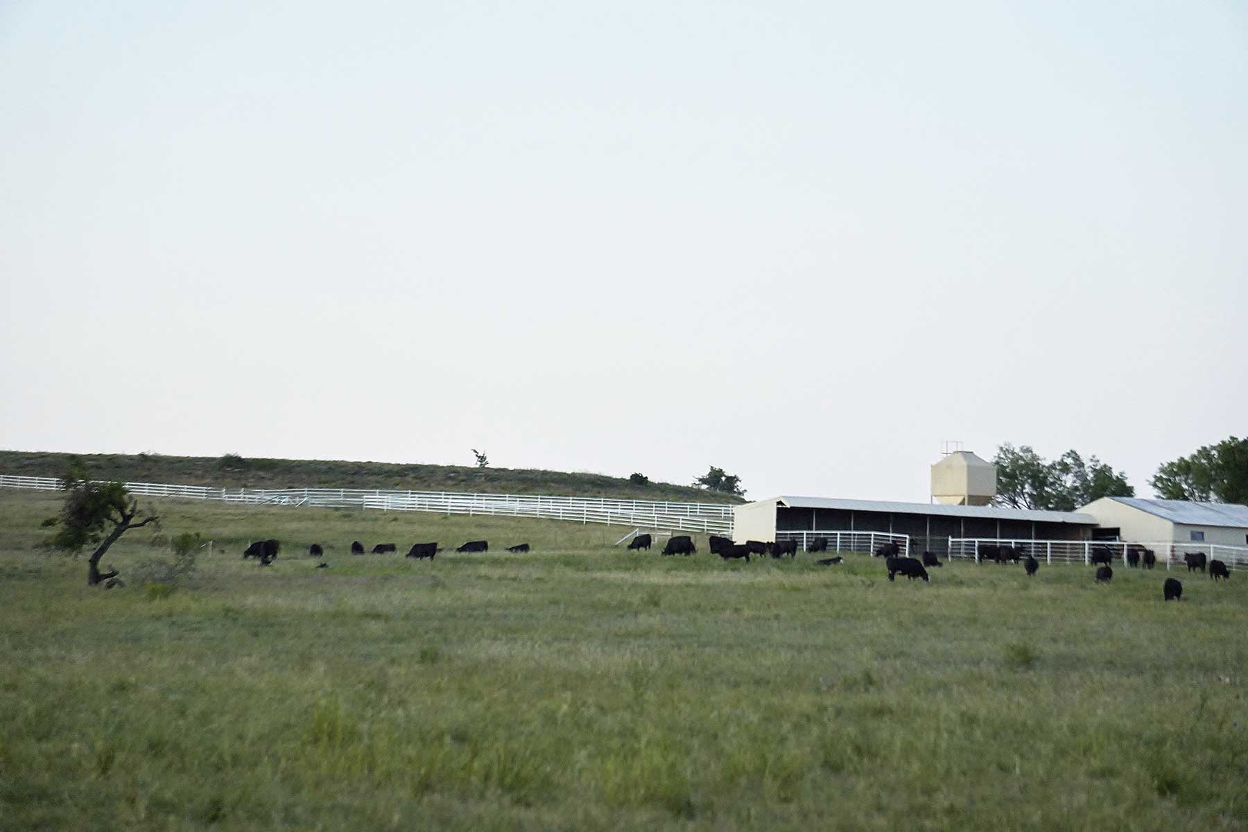 Lucky Star Ranch property picture 134 of 157