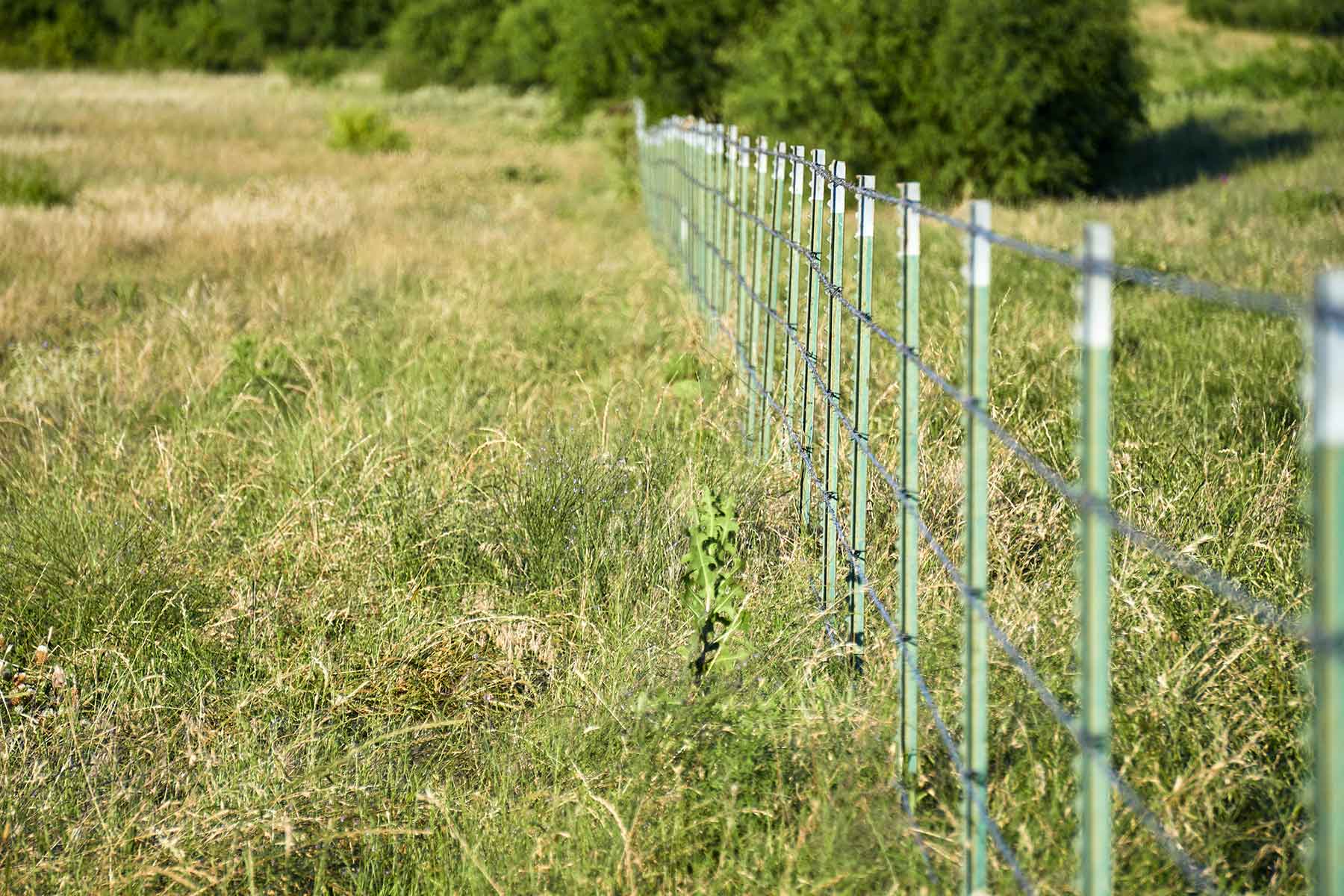 Lucky Star Ranch property picture 133 of 157