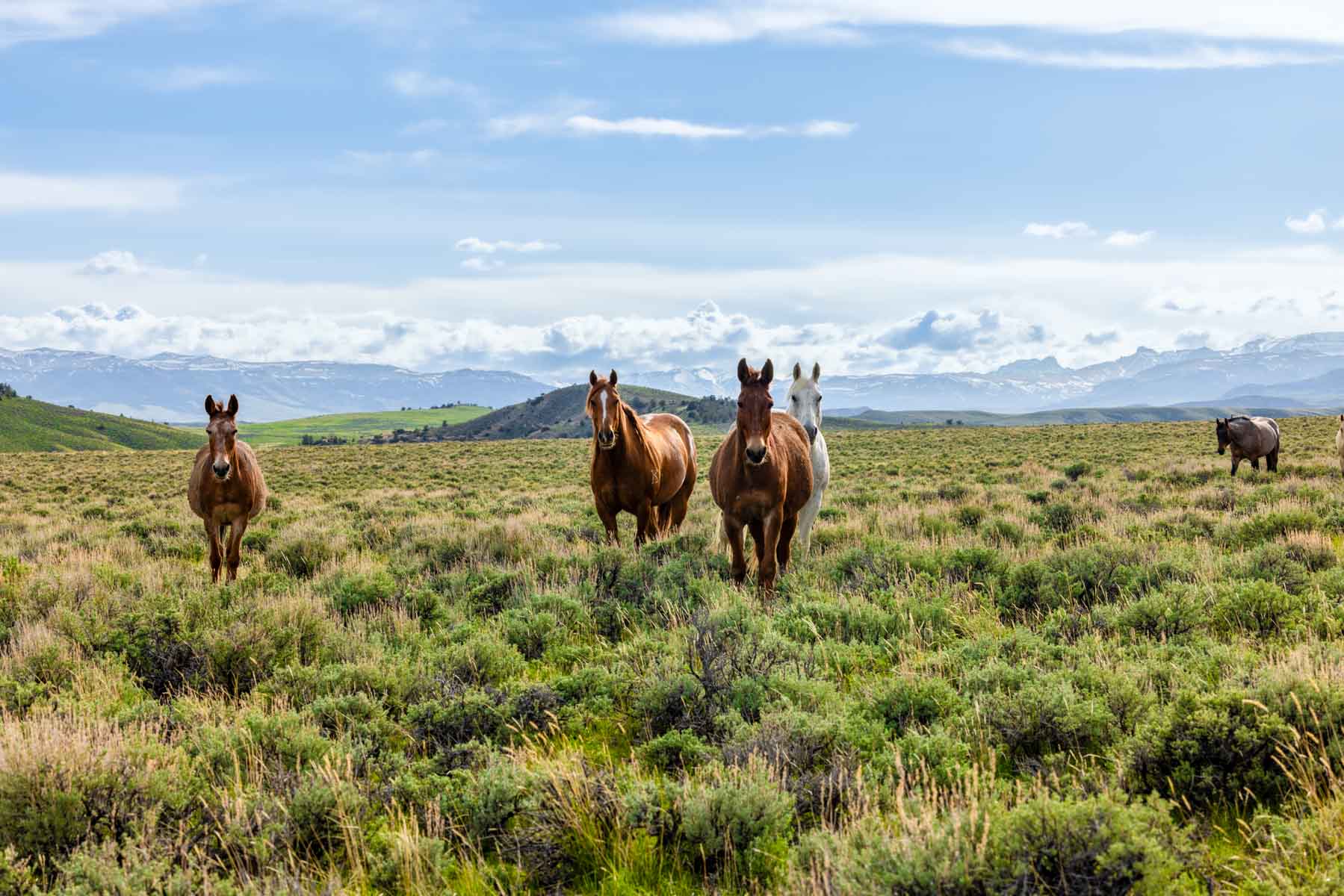 JA Land & Cattle property picture 46 of 47