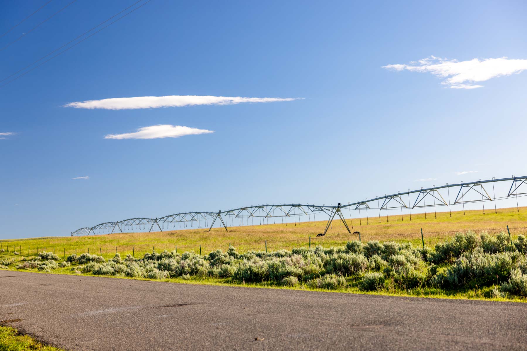 JA Land & Cattle property picture 7 of 47