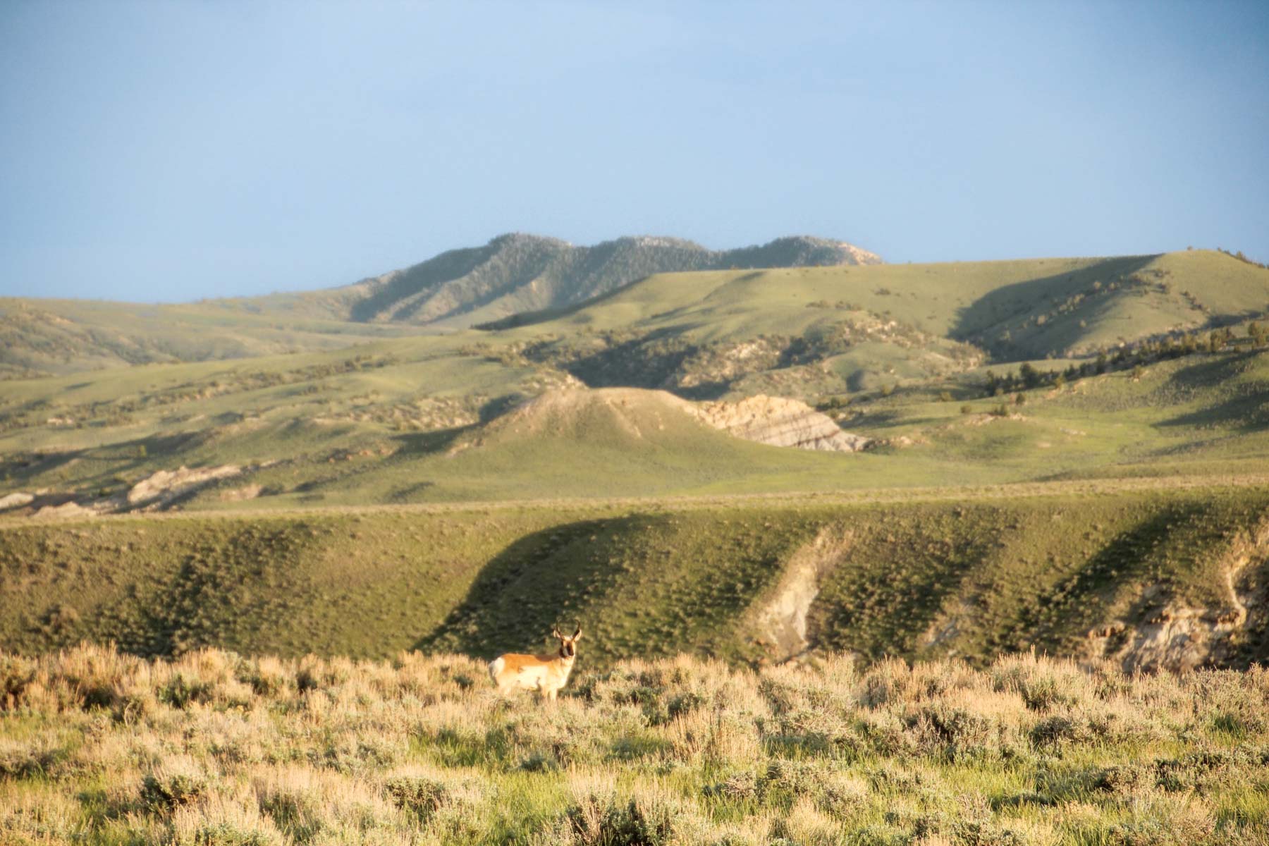 JA Land & Cattle property picture 45 of 47