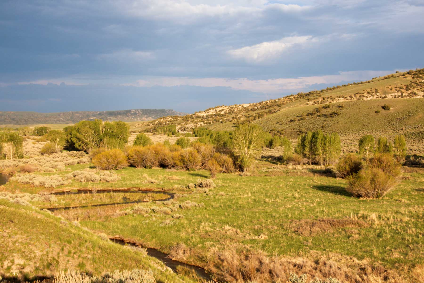 JA Land & Cattle property picture 14 of 47