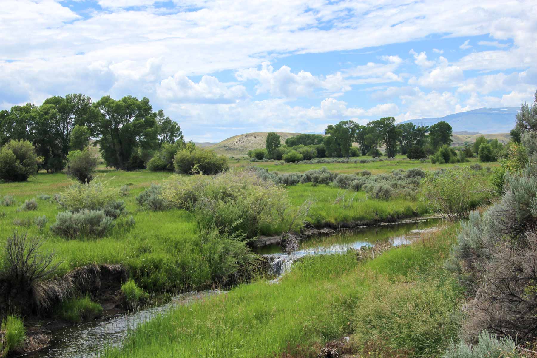 JA Land & Cattle property picture 10 of 47