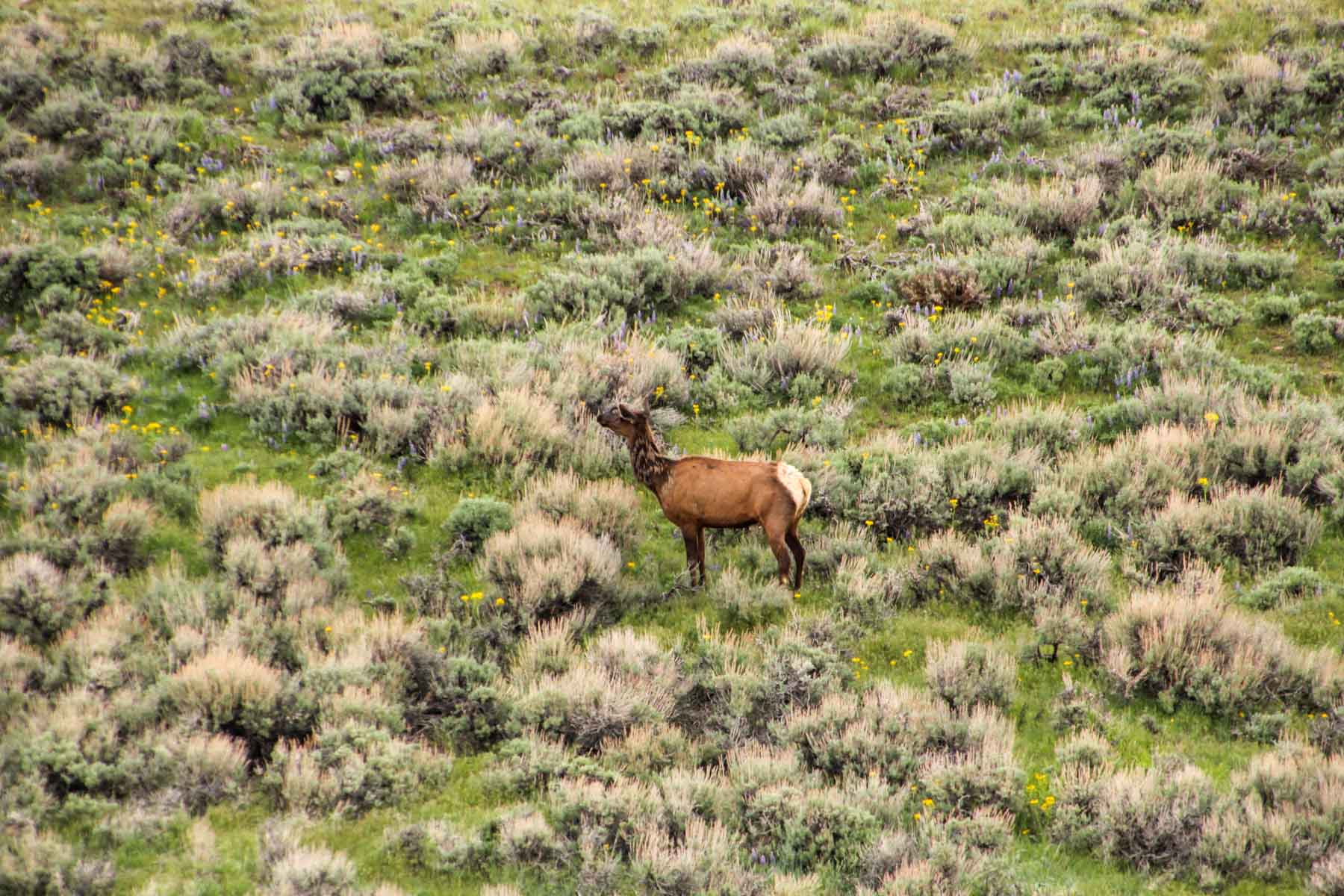 JA Land & Cattle property picture 16 of 47