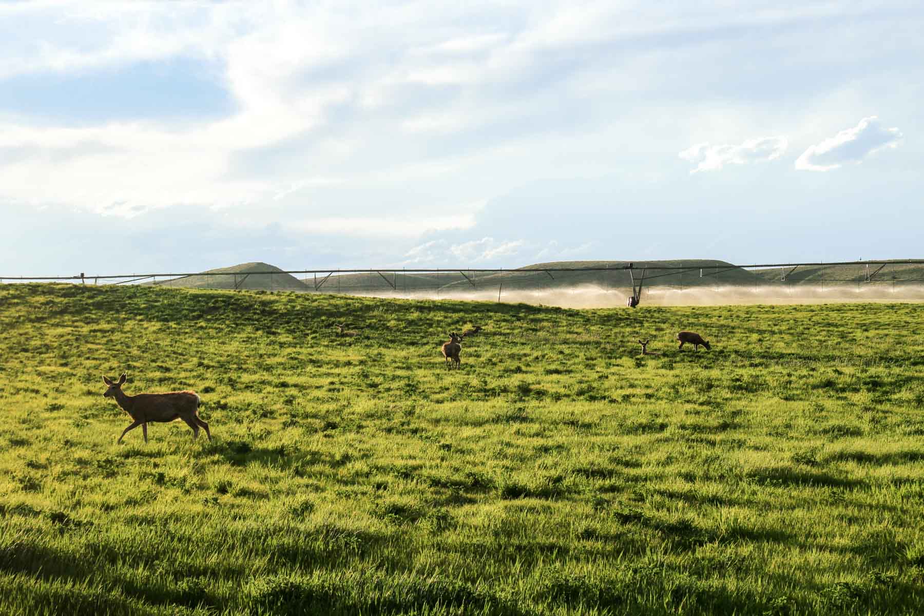 JA Land & Cattle property picture 44 of 47