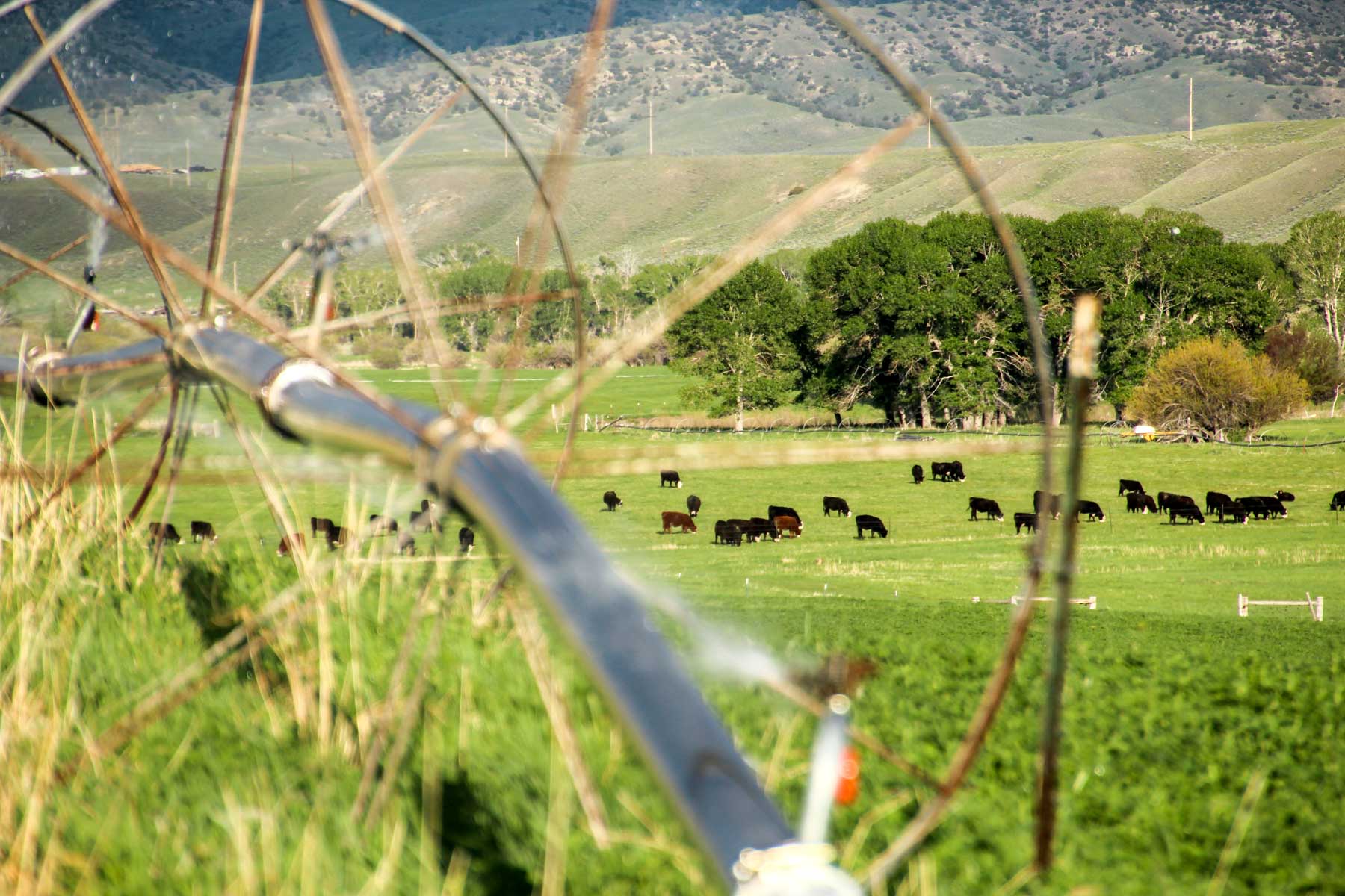 JA Land & Cattle property picture 9 of 47