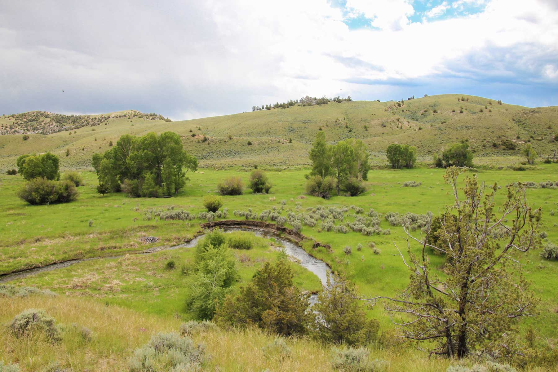 JA Land & Cattle property picture 11 of 47