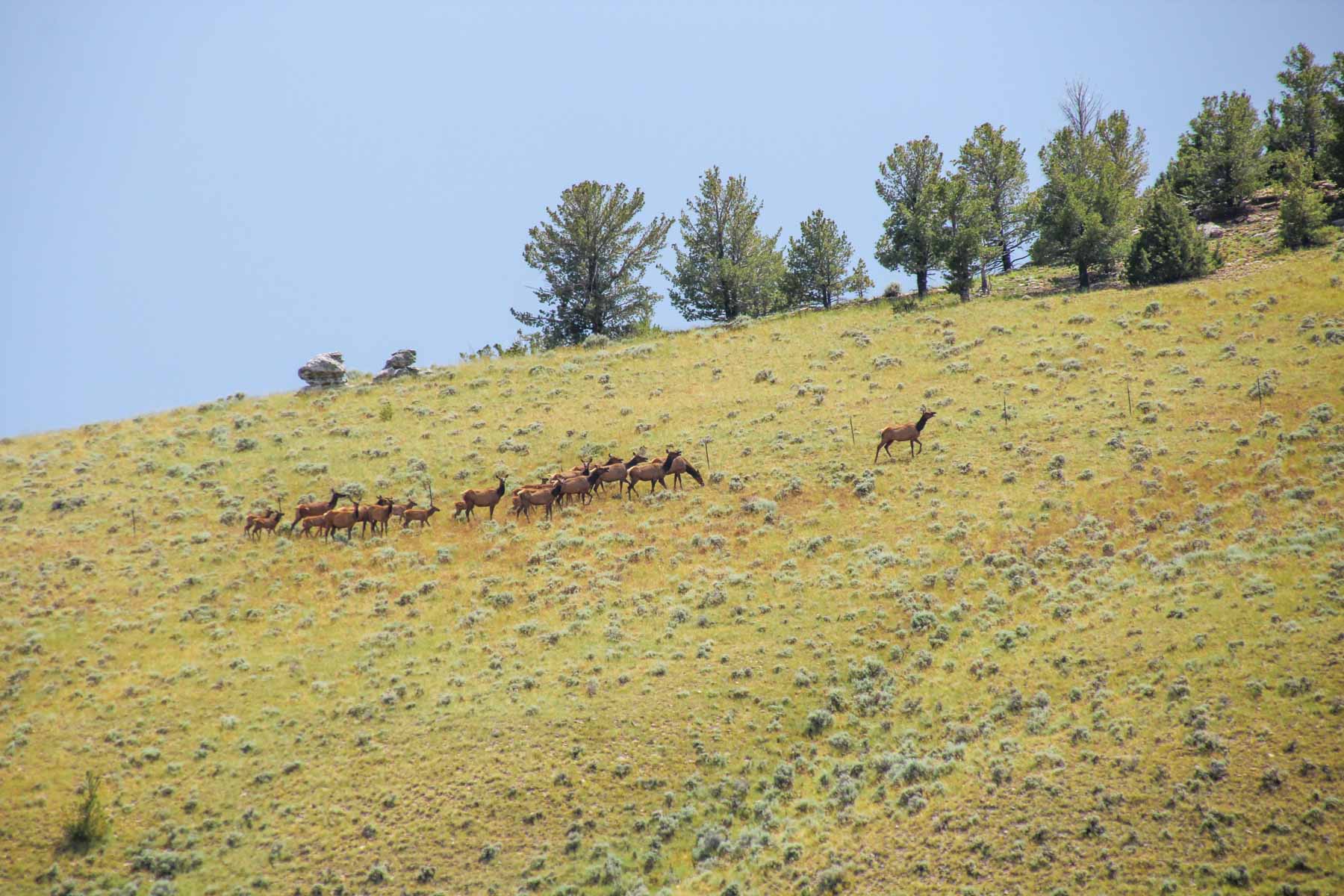 JA Land & Cattle property picture 17 of 47