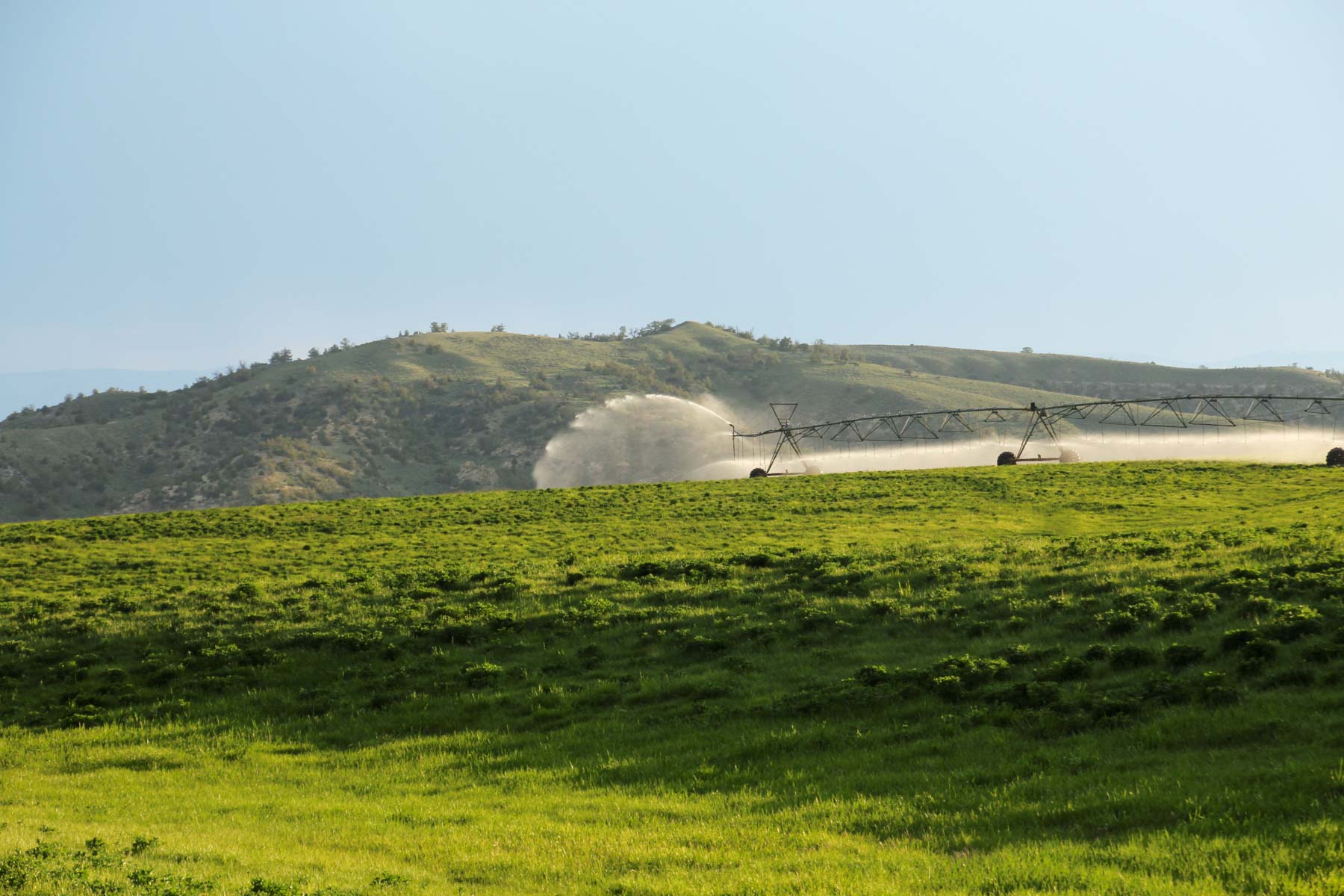 JA Land & Cattle property picture 21 of 47