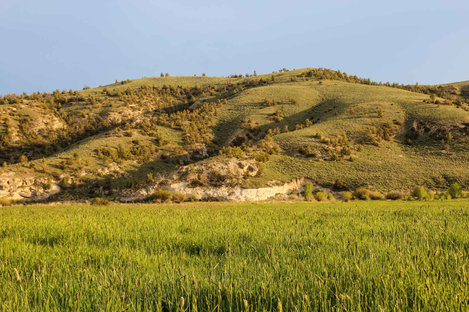 JA Land & Cattle property picture 13 of 47