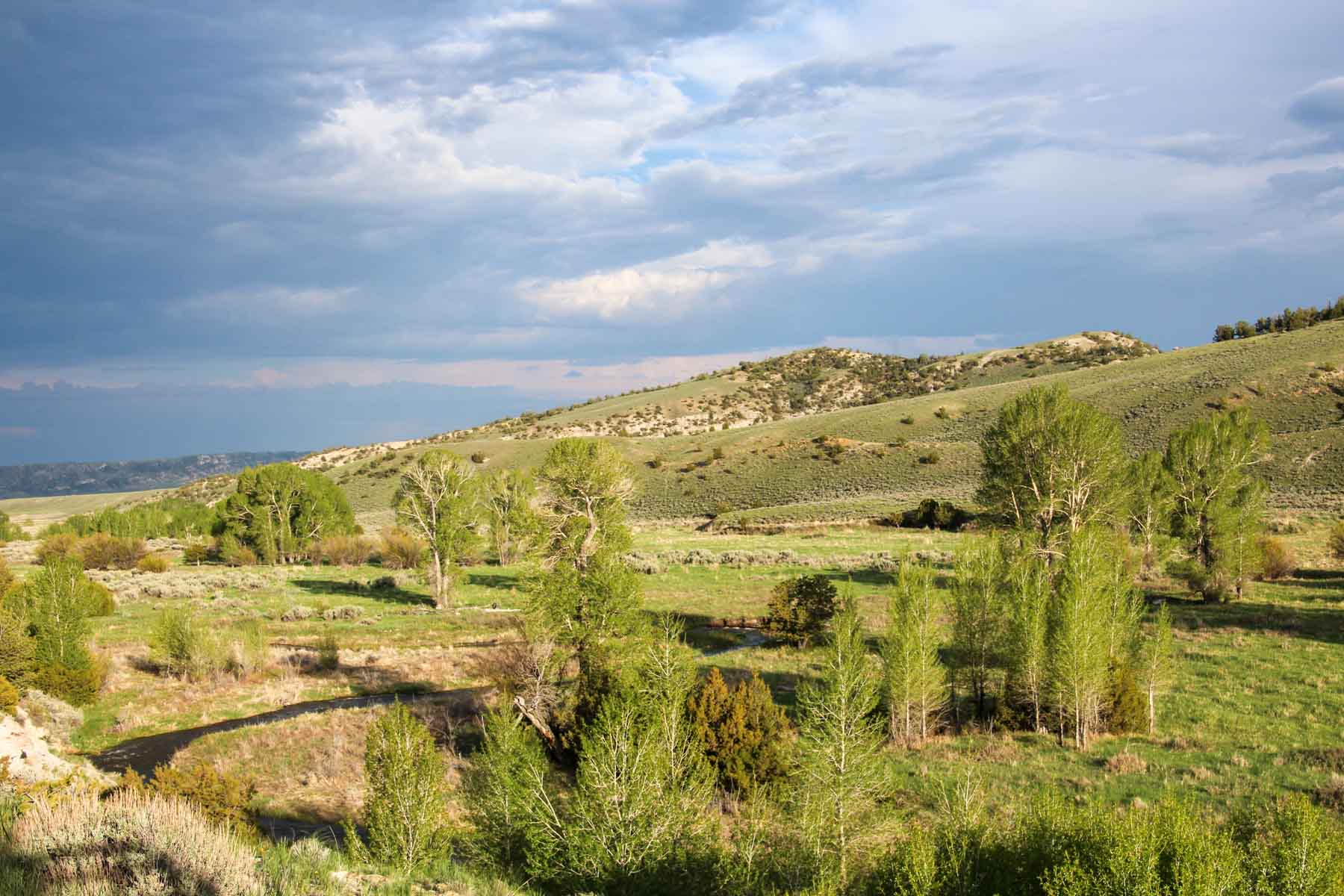 JA Land & Cattle property picture 42 of 47