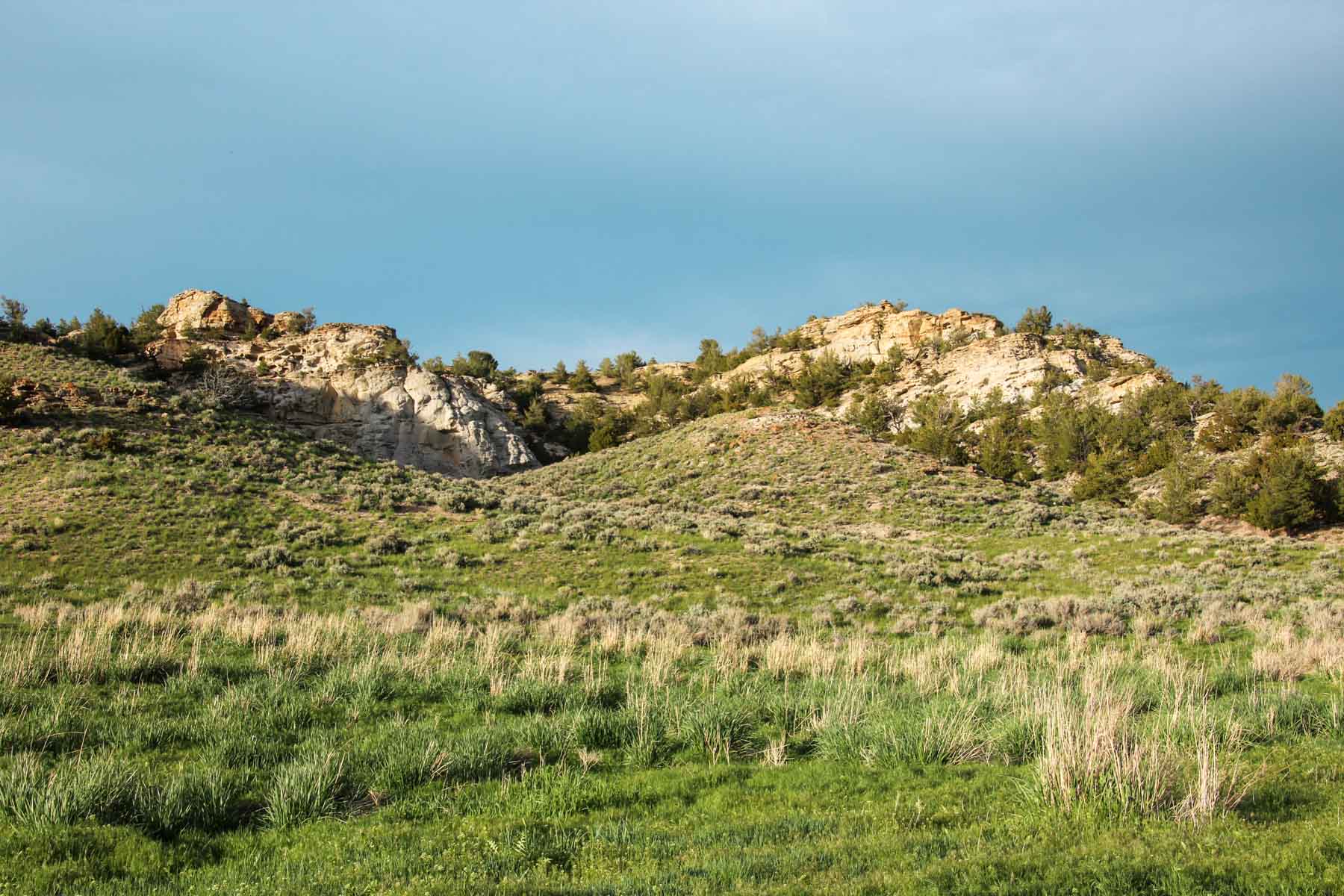 JA Land & Cattle property picture 41 of 47