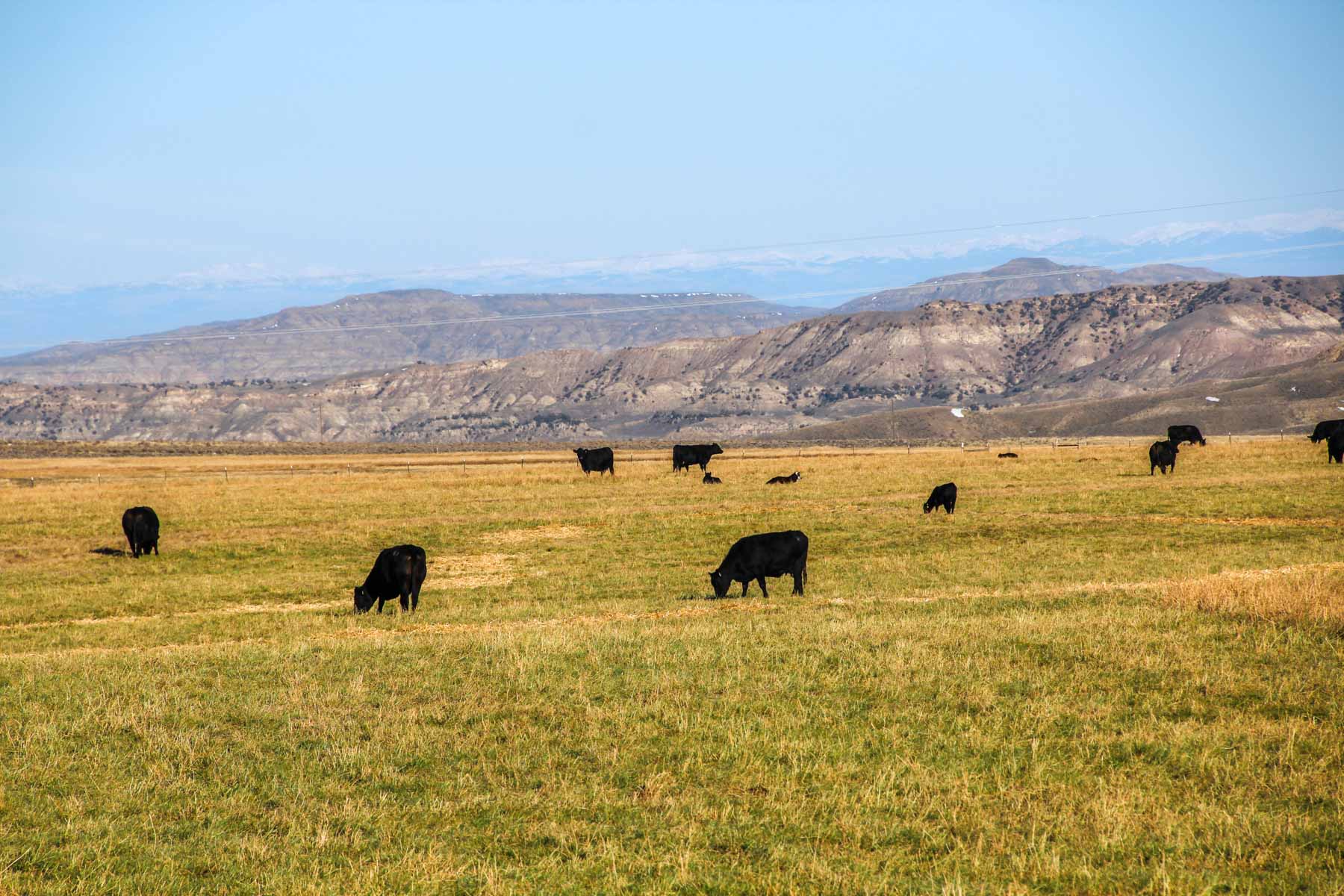 JA Land & Cattle property picture 38 of 47