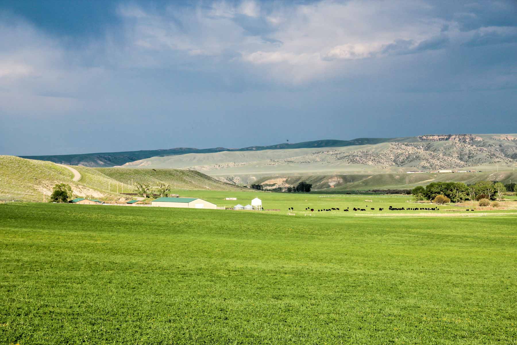 JA Land & Cattle property picture 39 of 47