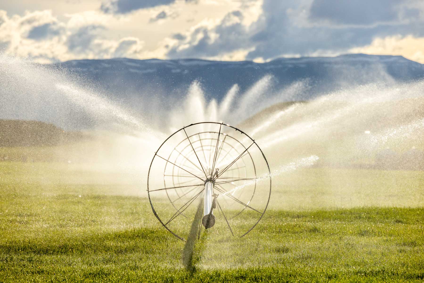 JA Land & Cattle property picture 4 of 47