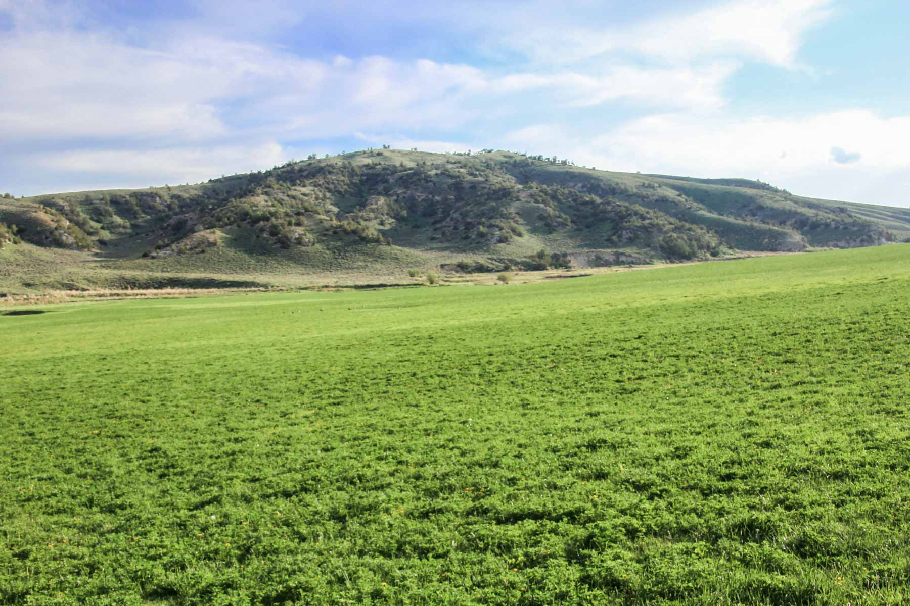 JA Land & Cattle property picture 40 of 47