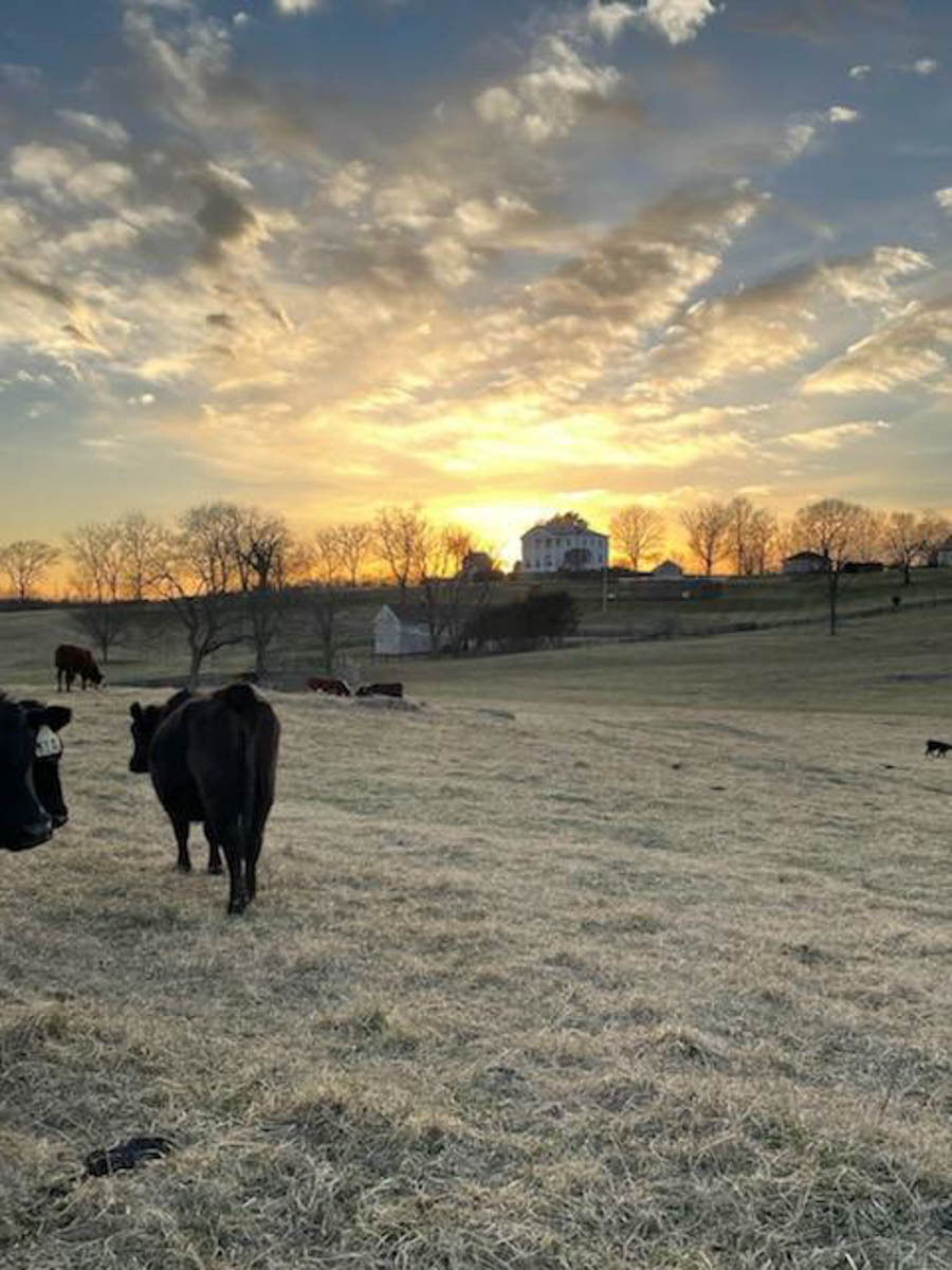 Clifton Farm property picture 98 of 103