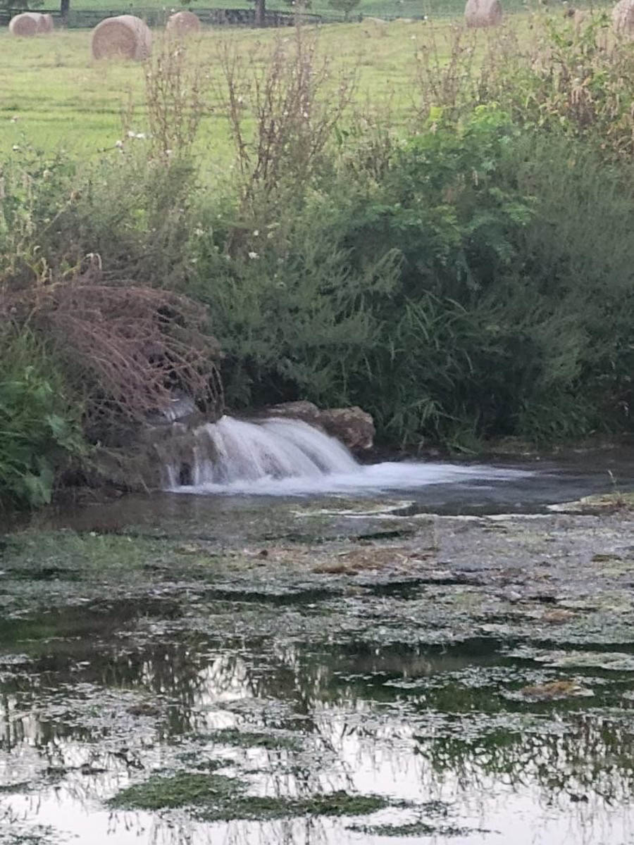 Clifton Farm property picture 92 of 103