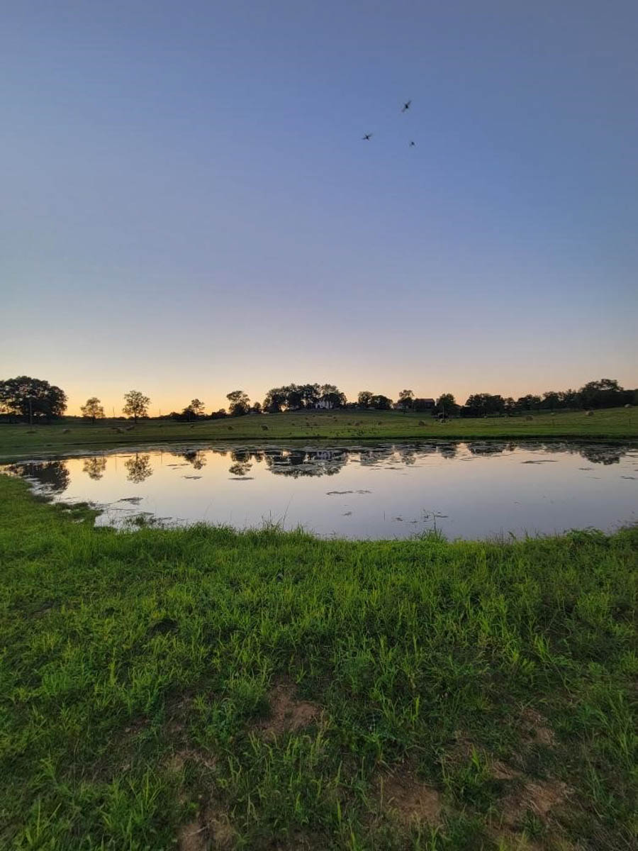 Clifton Farm property picture 93 of 103