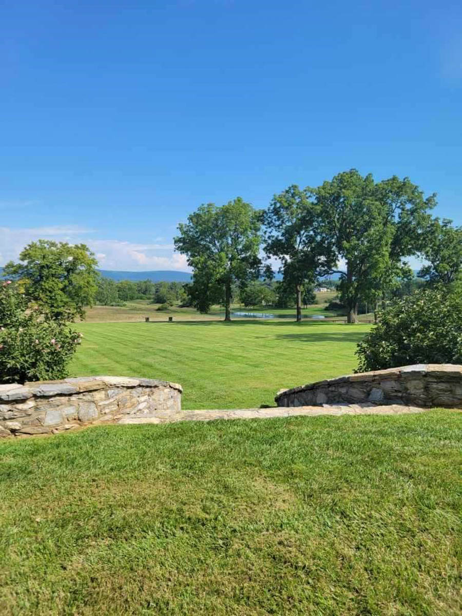 Clifton Farm property picture 91 of 103