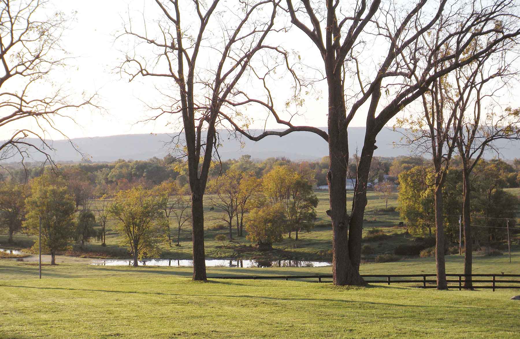 Clifton Farm property picture 14 of 103