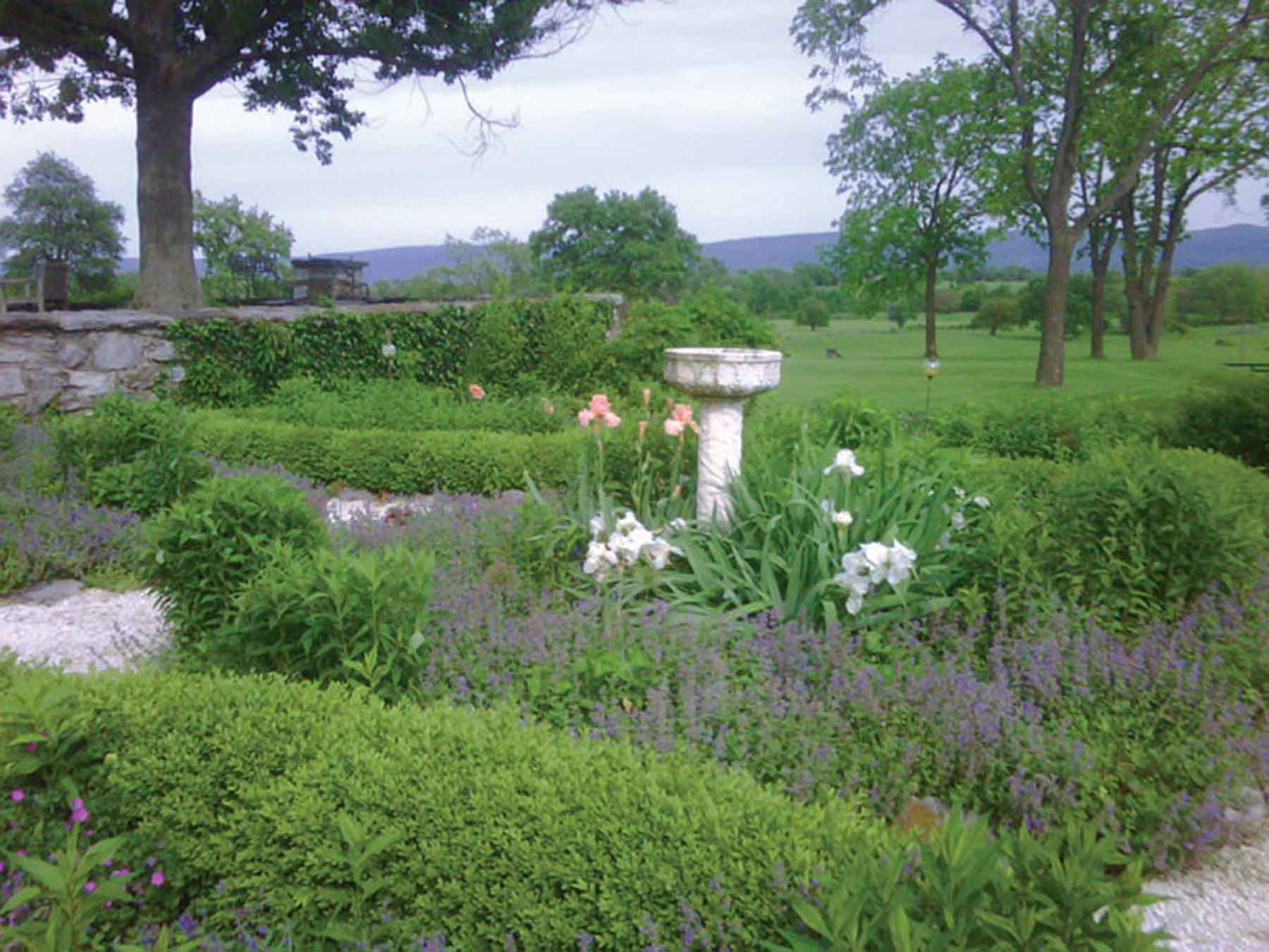 Clifton Farm property picture 15 of 103