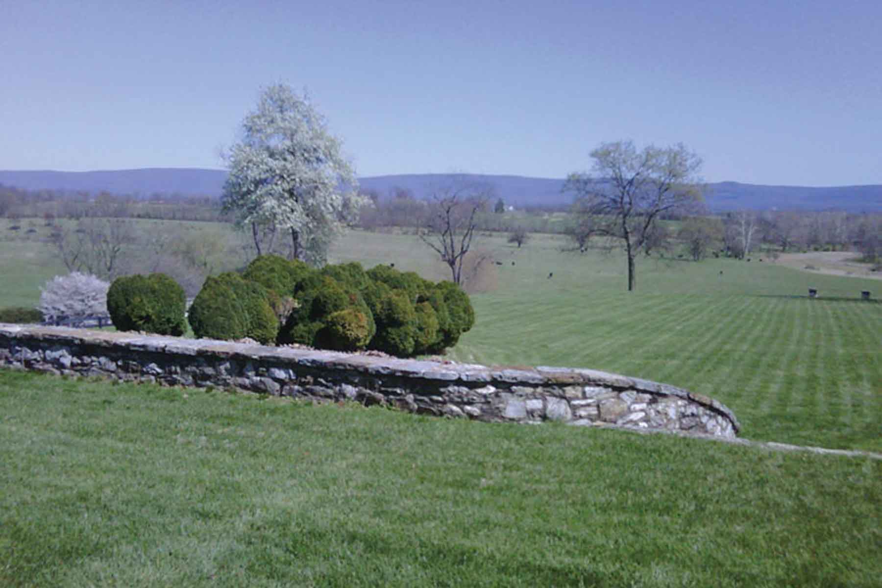 Clifton Farm property picture 19 of 103