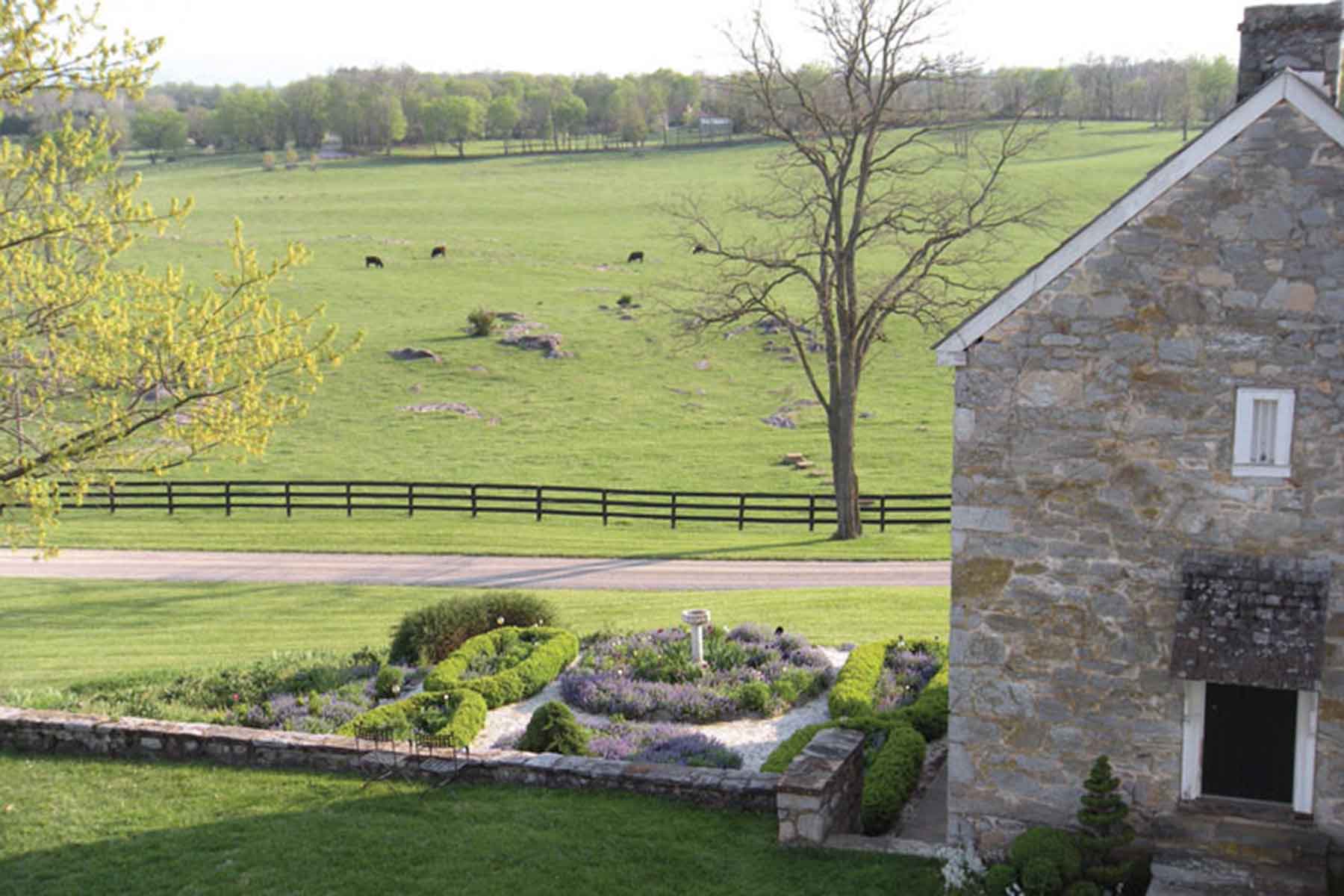 Clifton Farm property picture 24 of 103