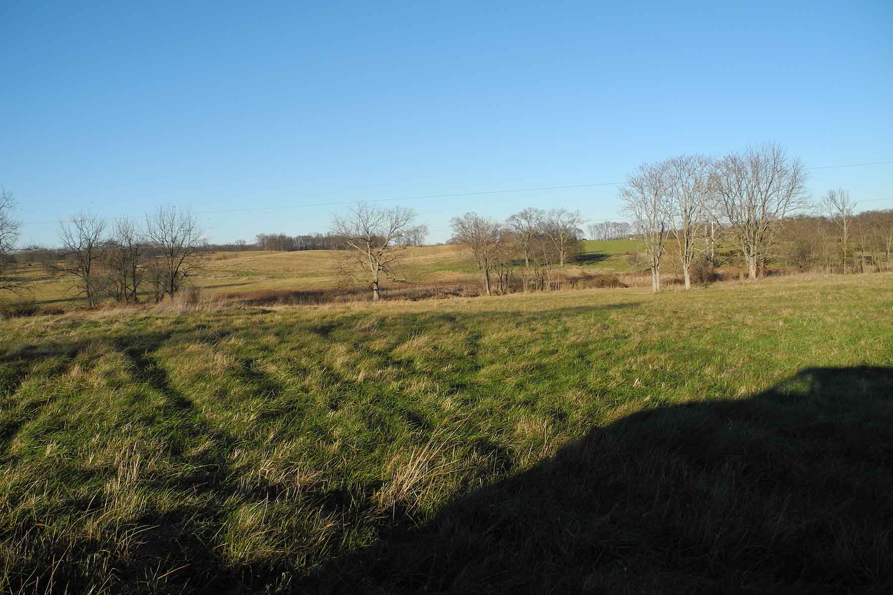 Clifton Farm property picture 37 of 103