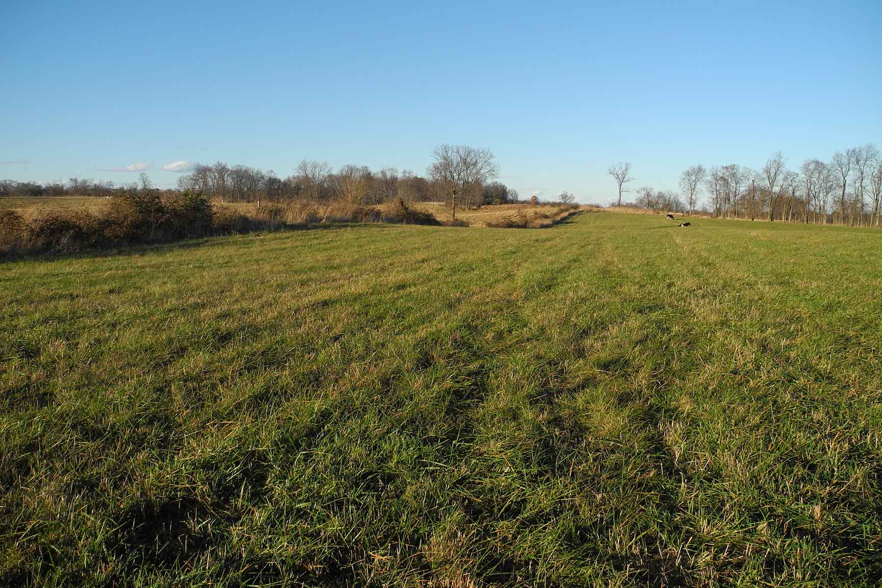 Clifton Farm property picture 51 of 103