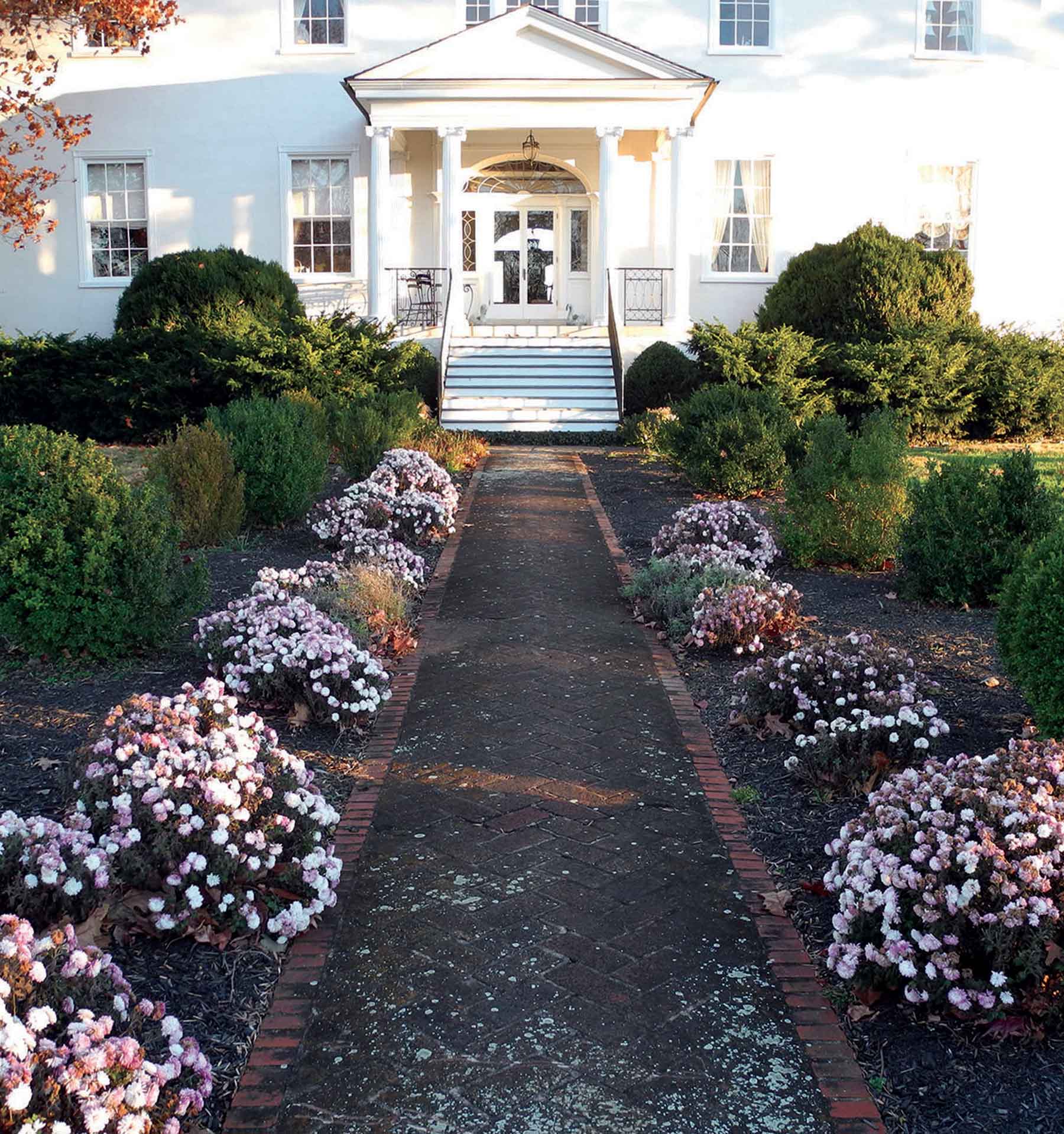 Clifton Farm property picture 7 of 103