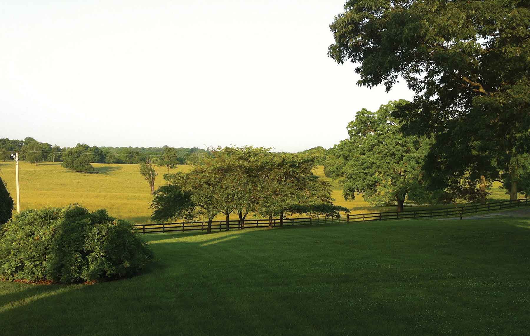 Clifton Farm property picture 8 of 103