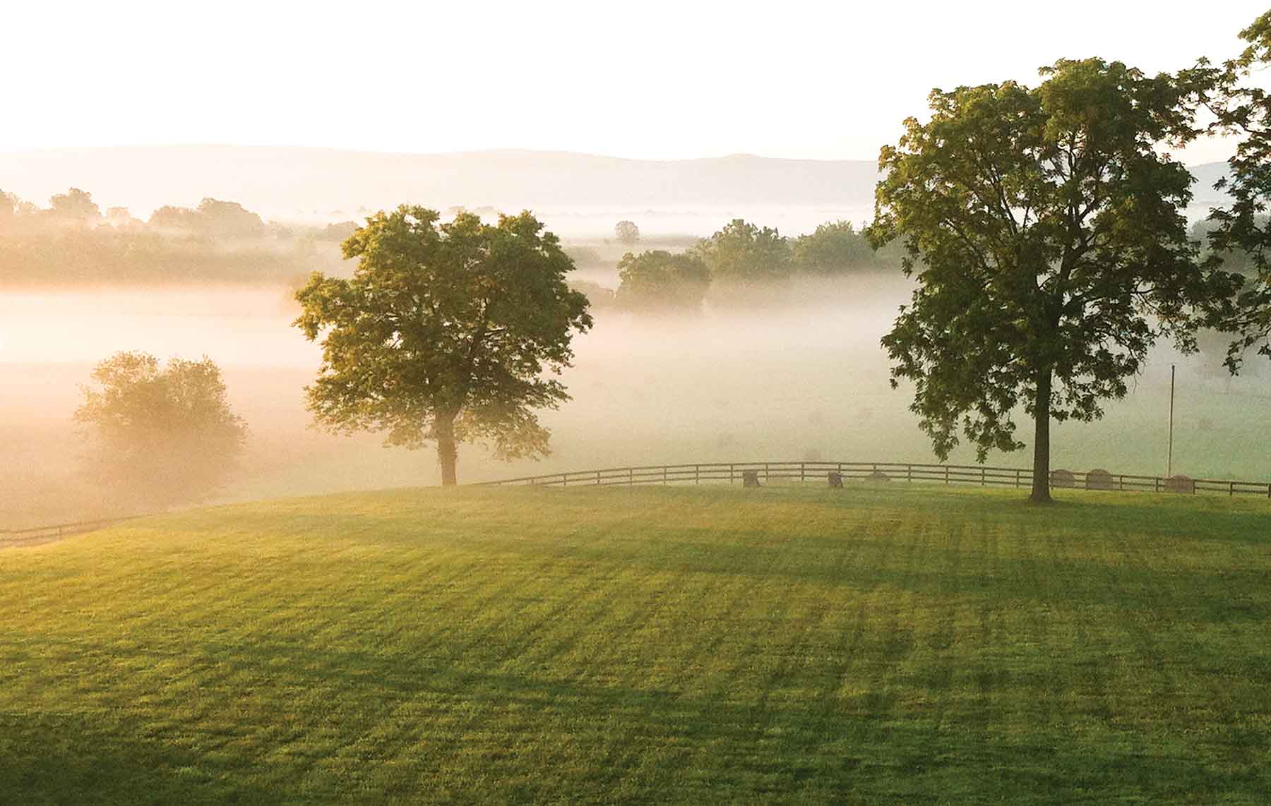 Clifton Farm property picture 42 of 103