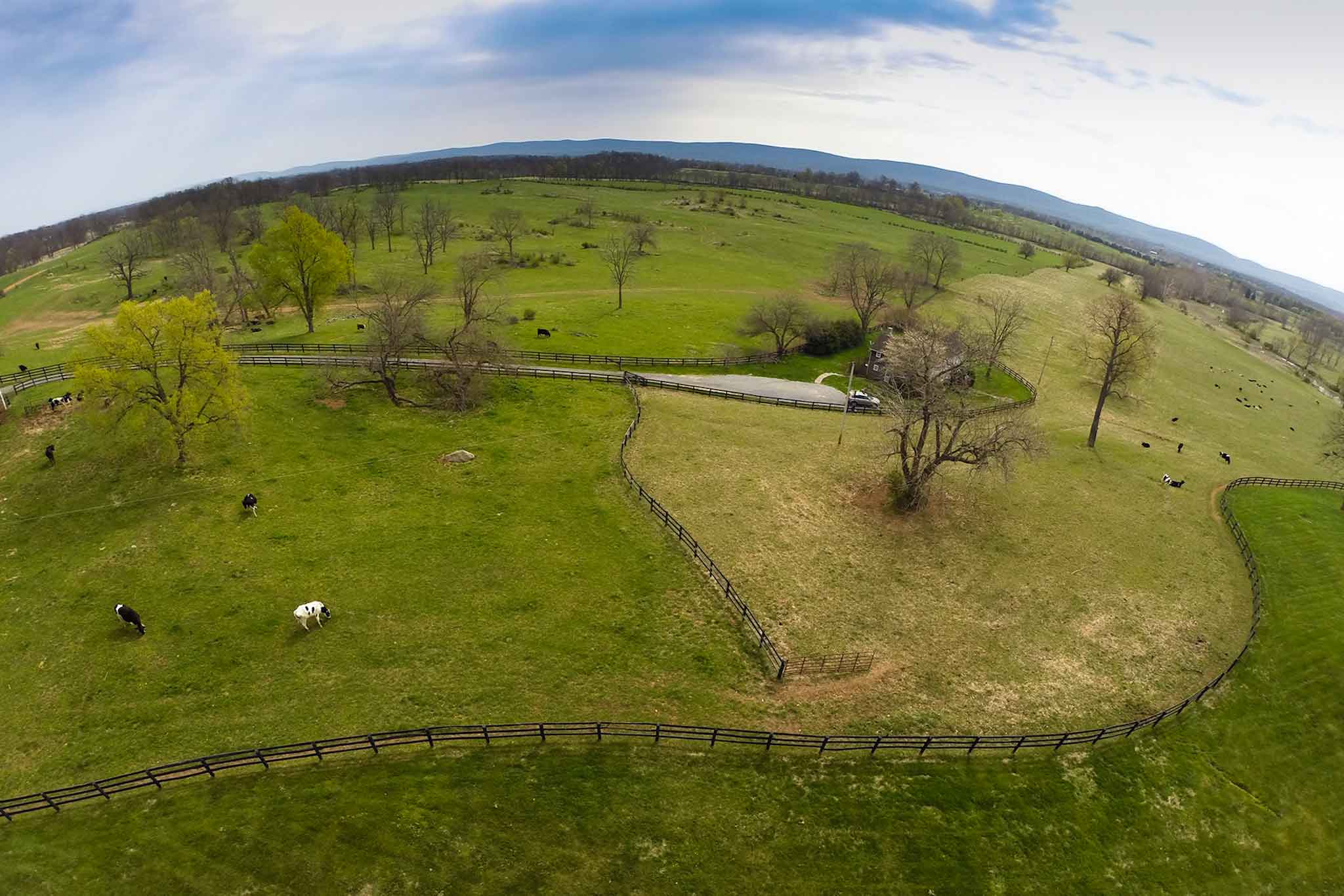 Clifton Farm property picture 47 of 103