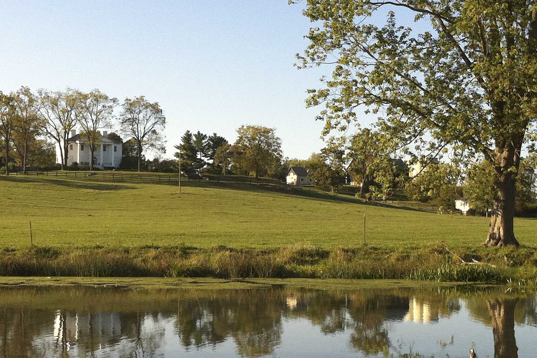 Clifton Farm property picture 50 of 103