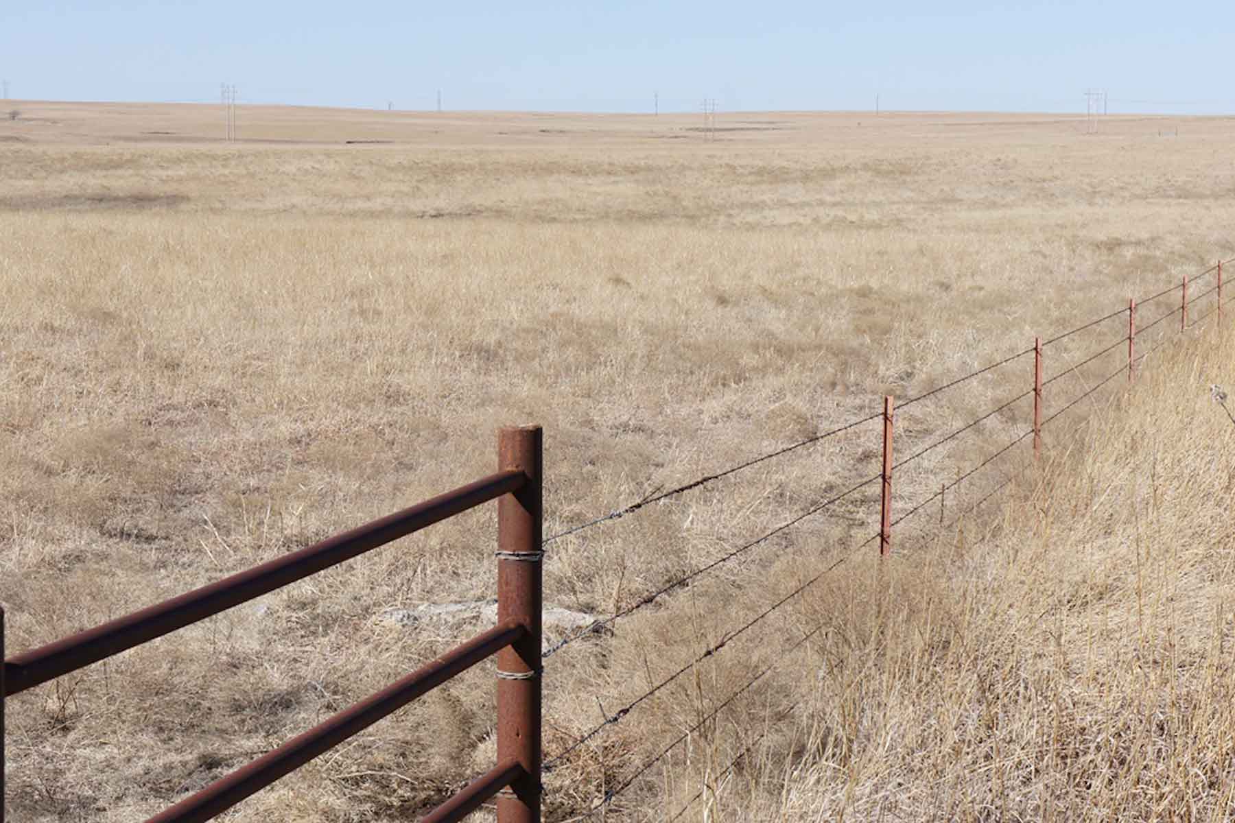 Wilson Ranch property picture 47 of 47