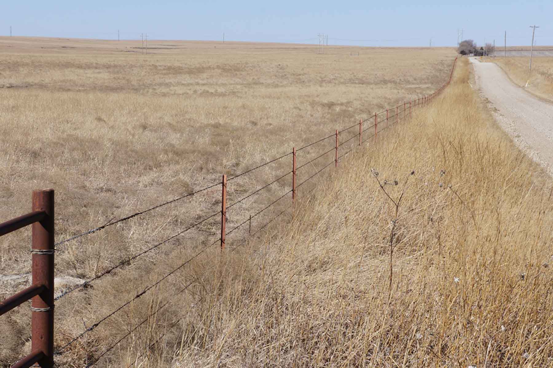 Wilson Ranch property picture 46 of 47