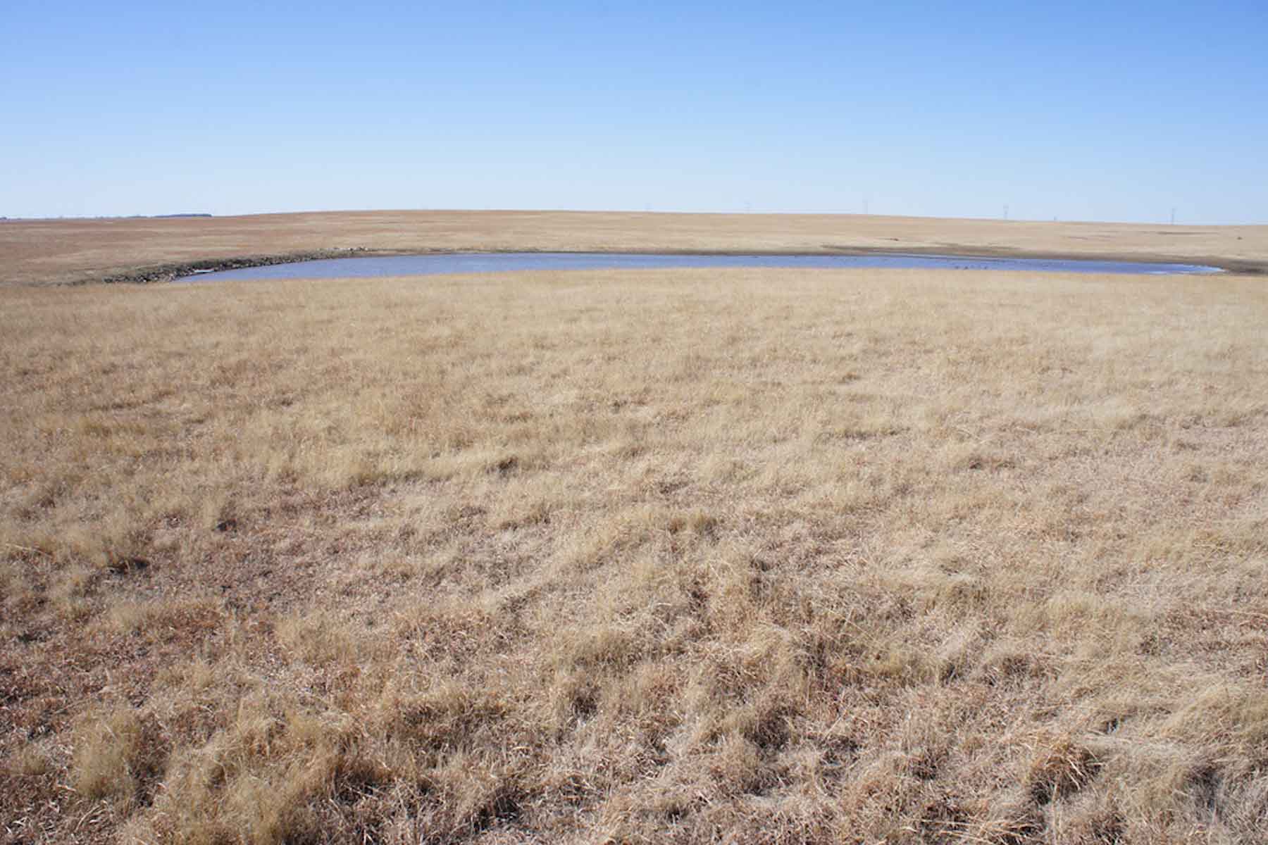 Wilson Ranch property picture 45 of 47