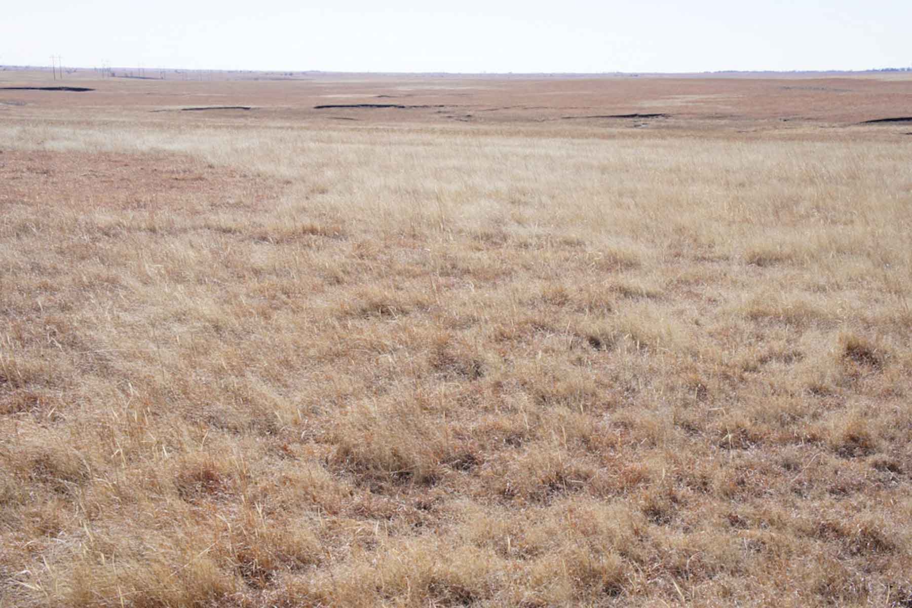 Wilson Ranch property picture 44 of 47