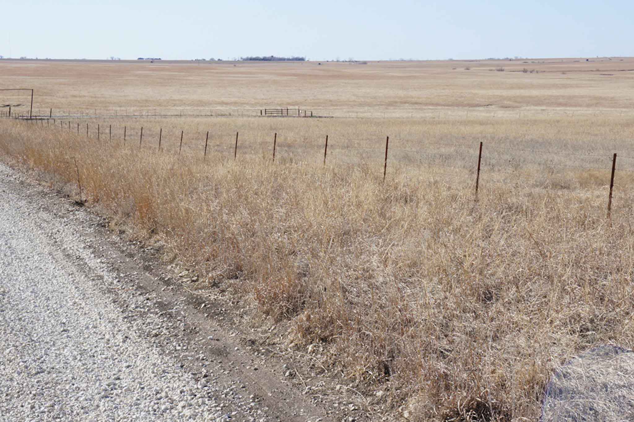 Wilson Ranch property picture 40 of 47