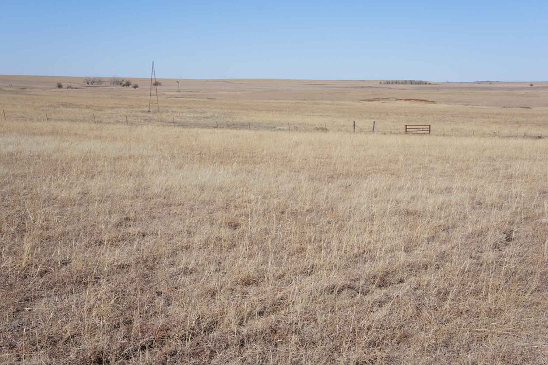 Wilson Ranch property picture 39 of 47