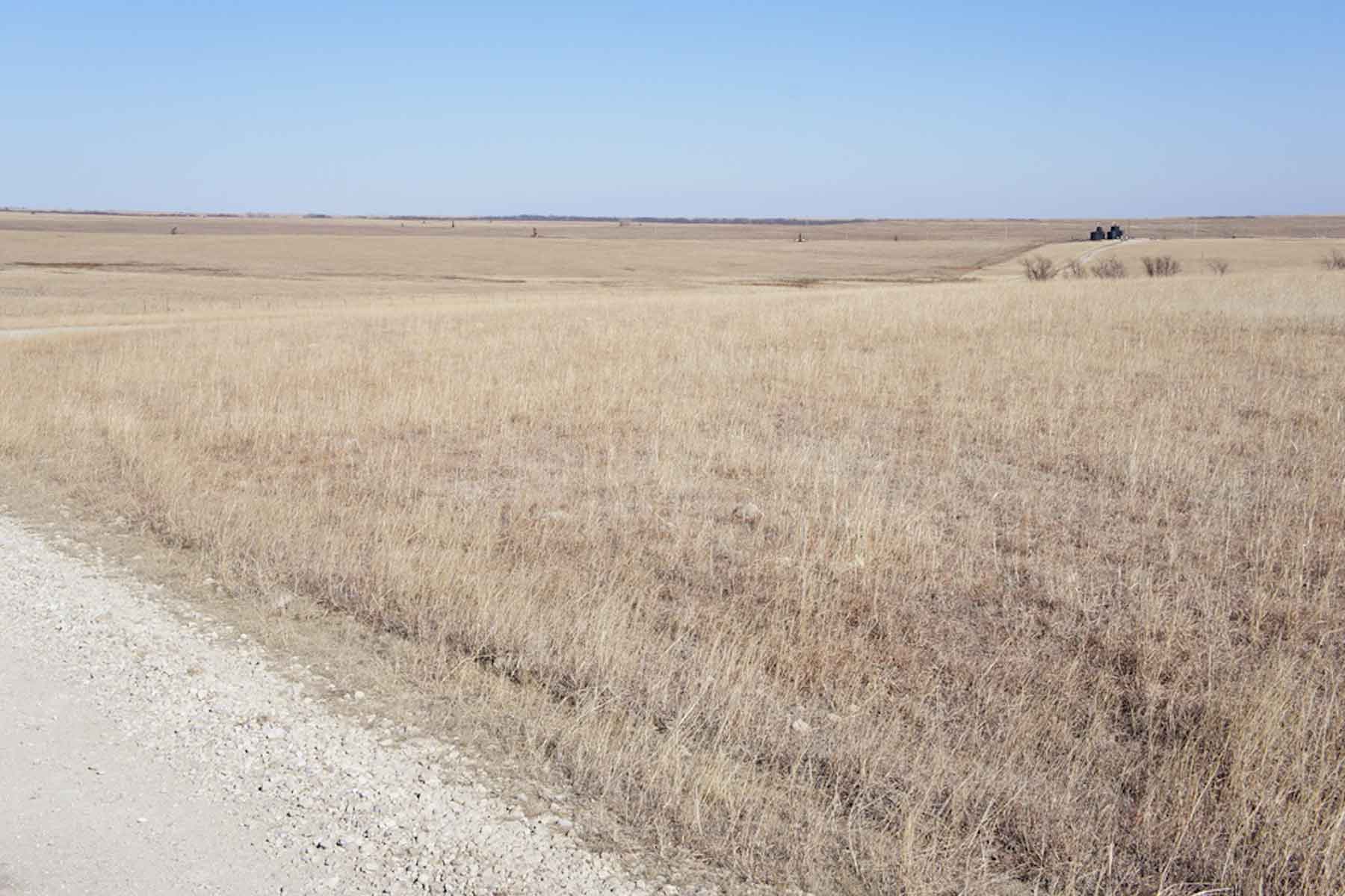 Wilson Ranch property picture 38 of 47