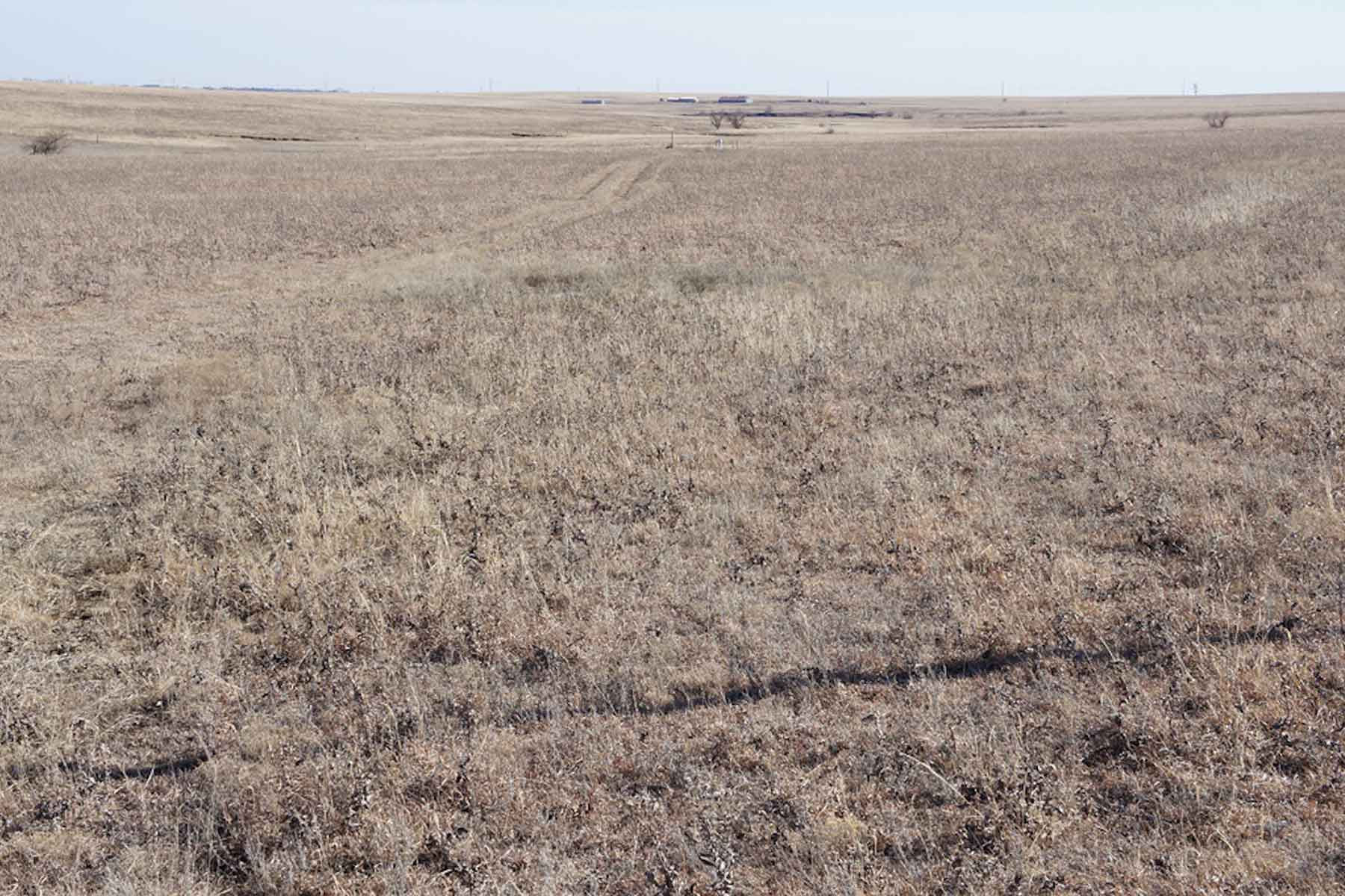 Wilson Ranch property picture 37 of 47