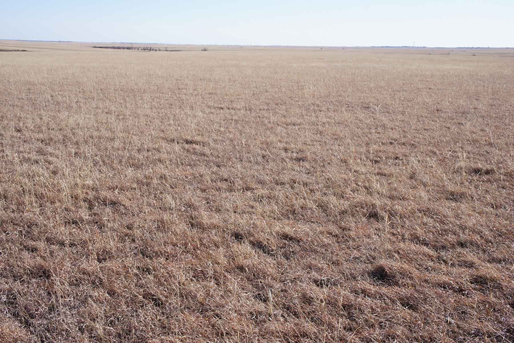 Wilson Ranch property picture 36 of 47